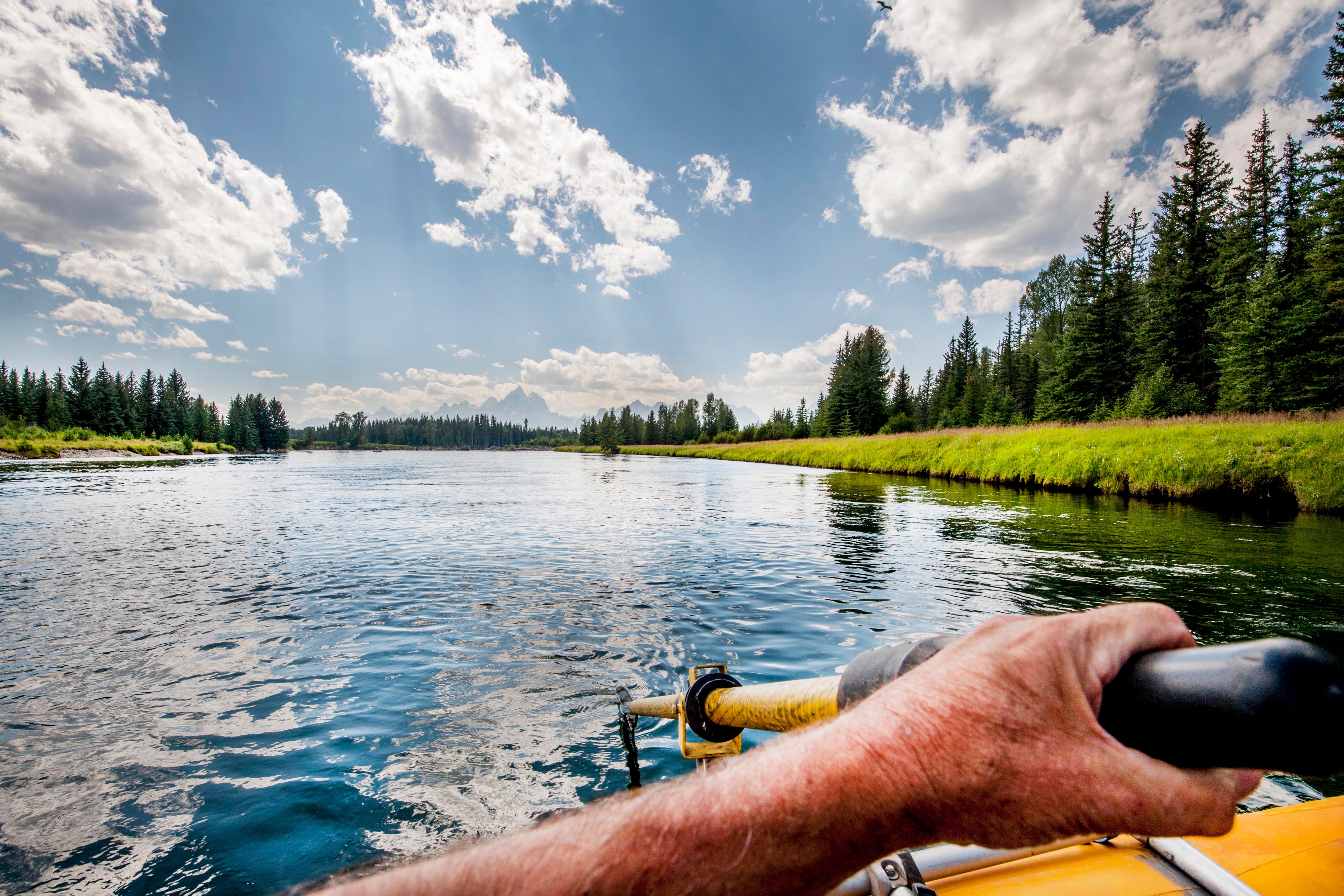 view from a boat on a river