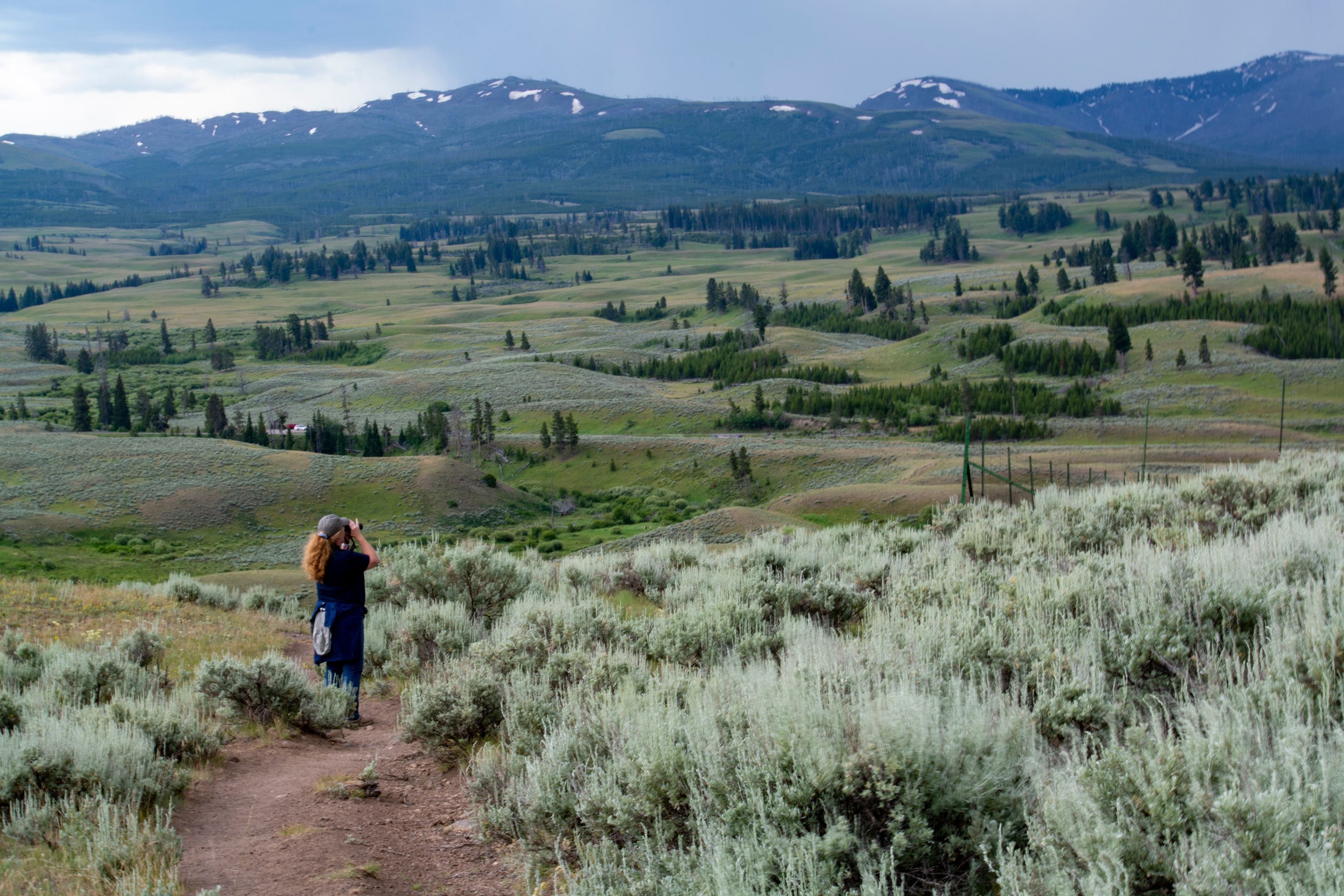 Biking on a trail in Yellowstone National Park