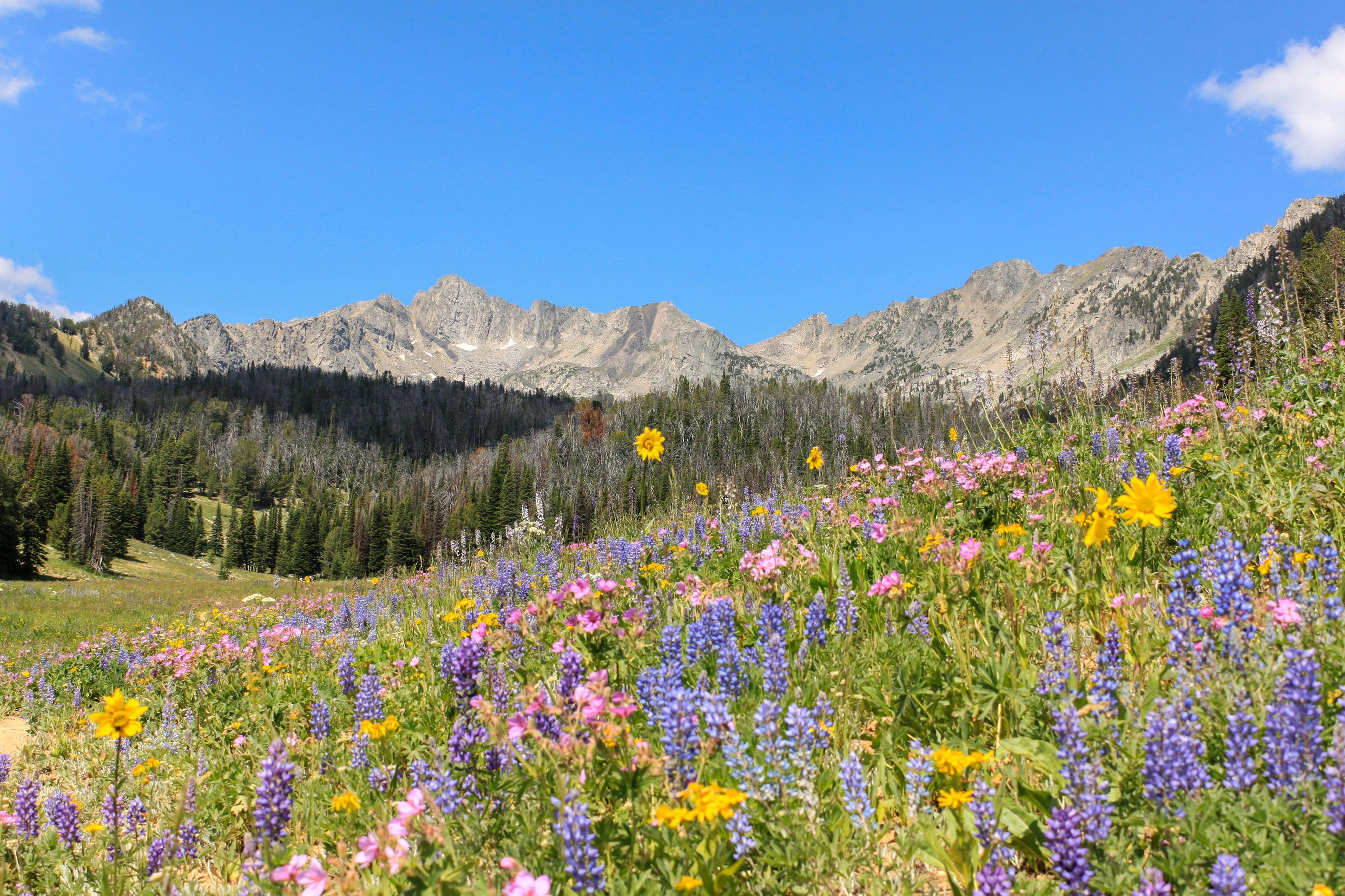 Beehive Basin, Big Sky, Montana