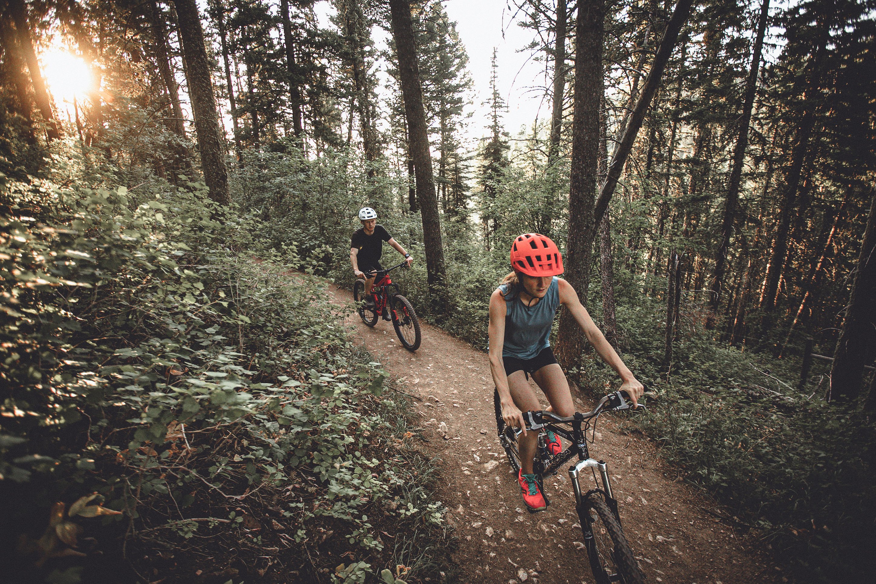 Mountain bikers on a forest trail.