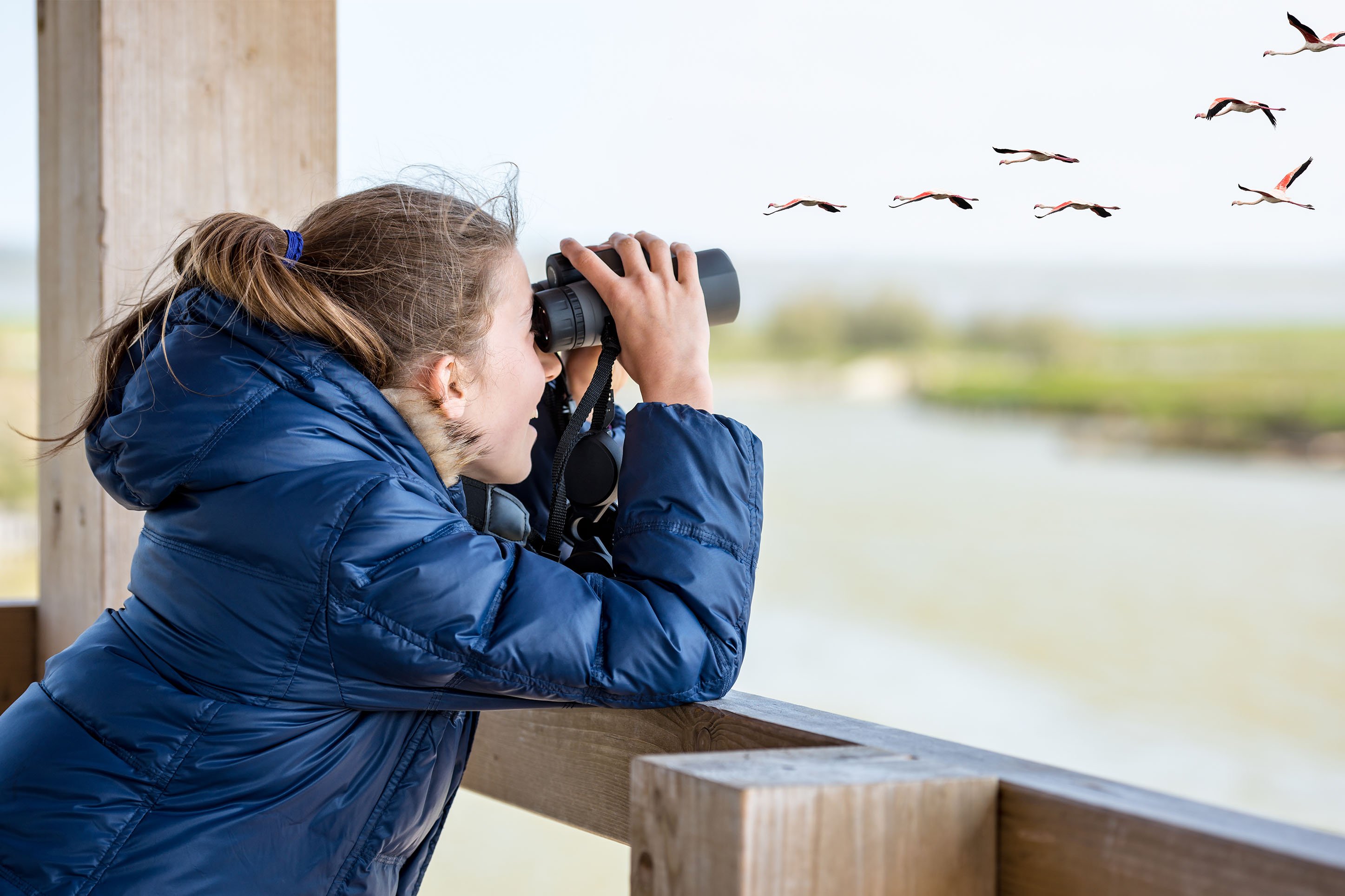 CVB_birding-bozeman-blog3