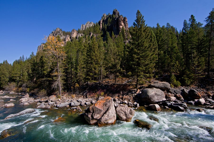 Gallatin River on the way to Yellowstone West entrance