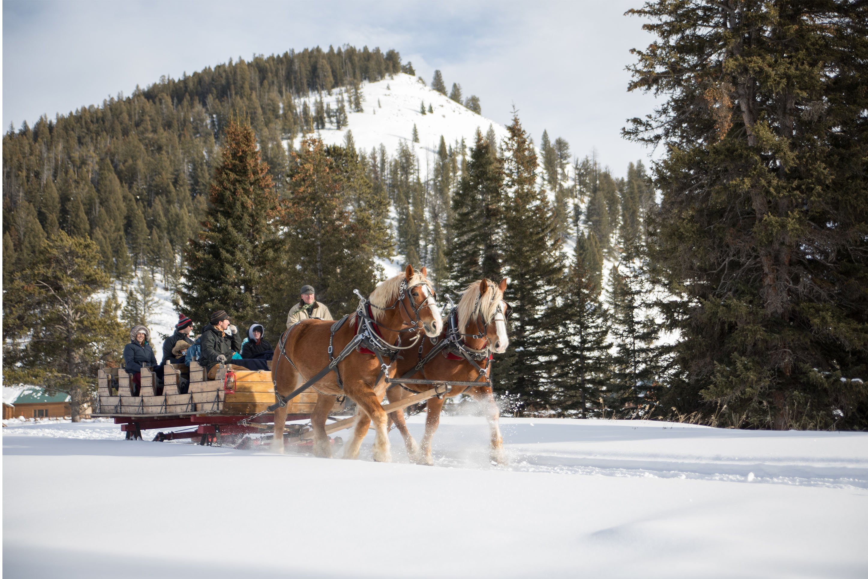 Sleigh ride dinner at 320 Guest Ranch