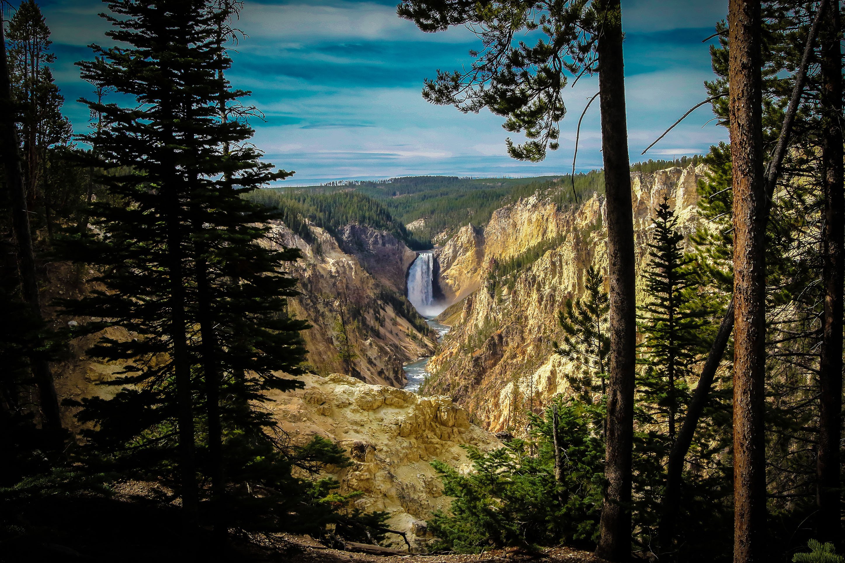 Grand canyon of the Yellowstone in the summer