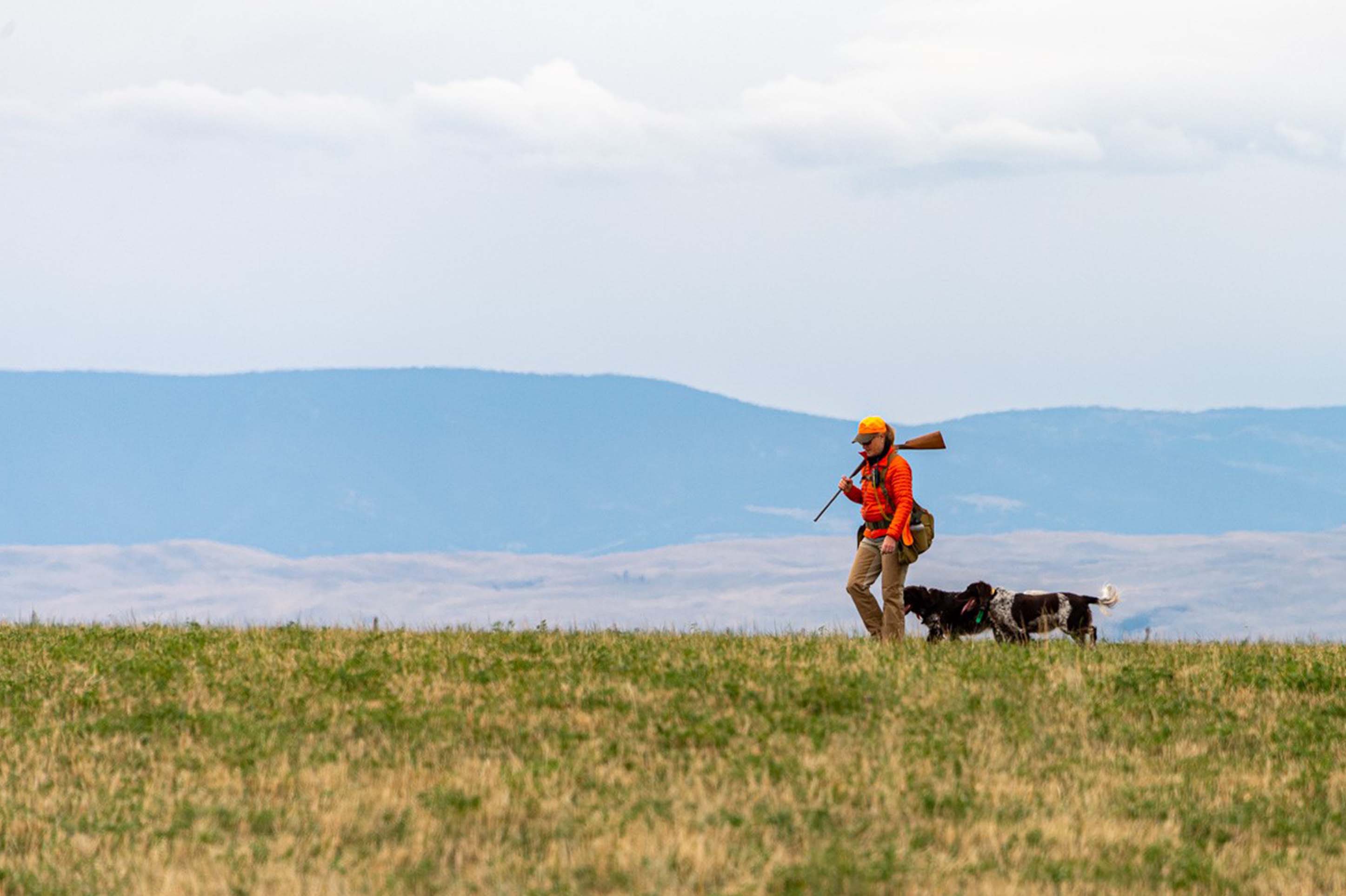 woman bird hunting with her two dogs