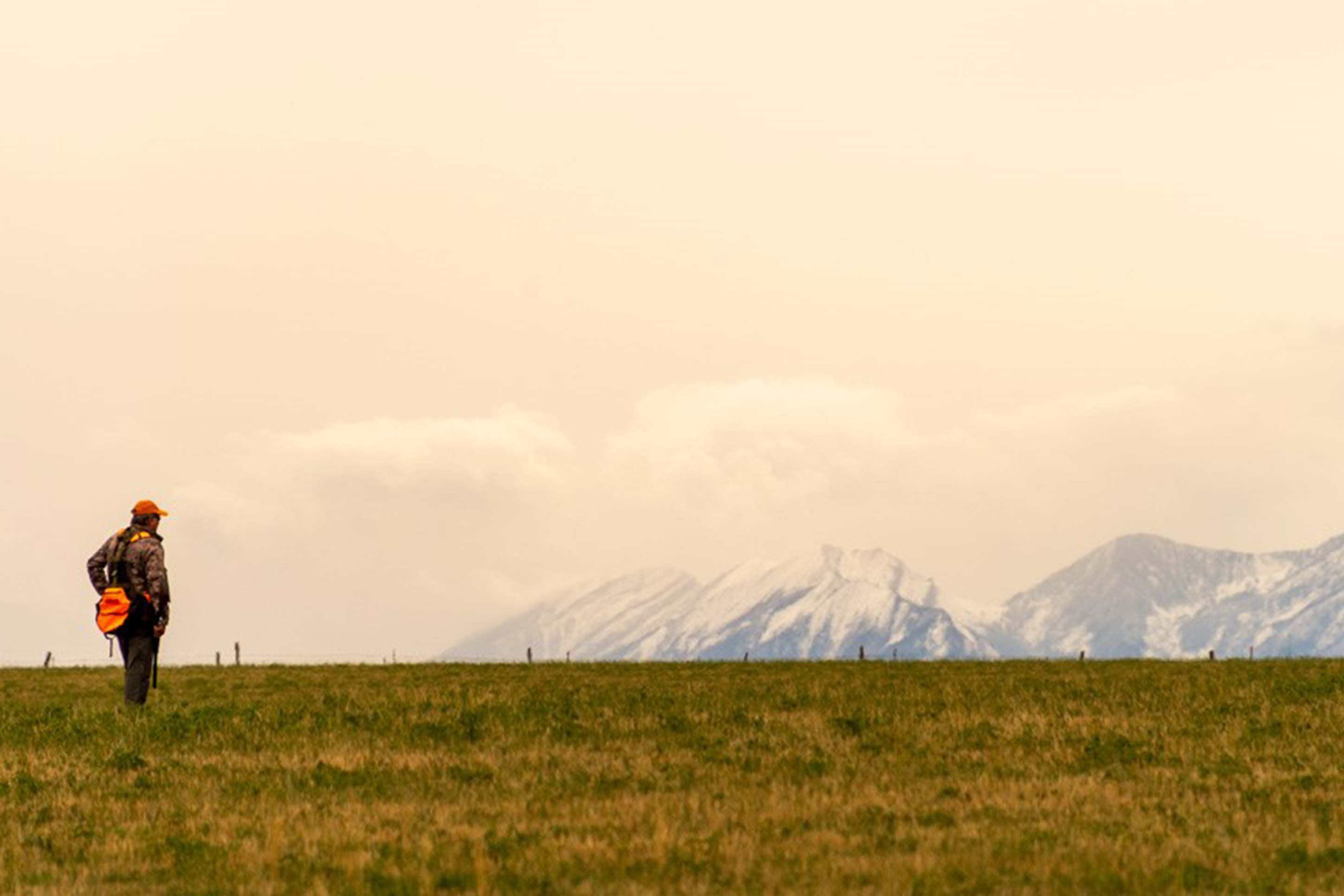 hunter looks off in the distance at mountains