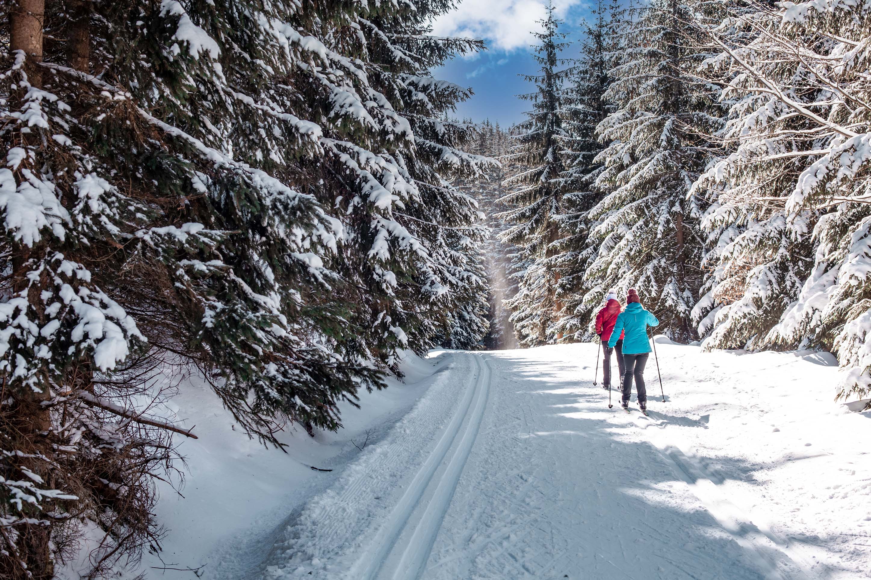 two women Nordic skiing in Bozeman, Montana