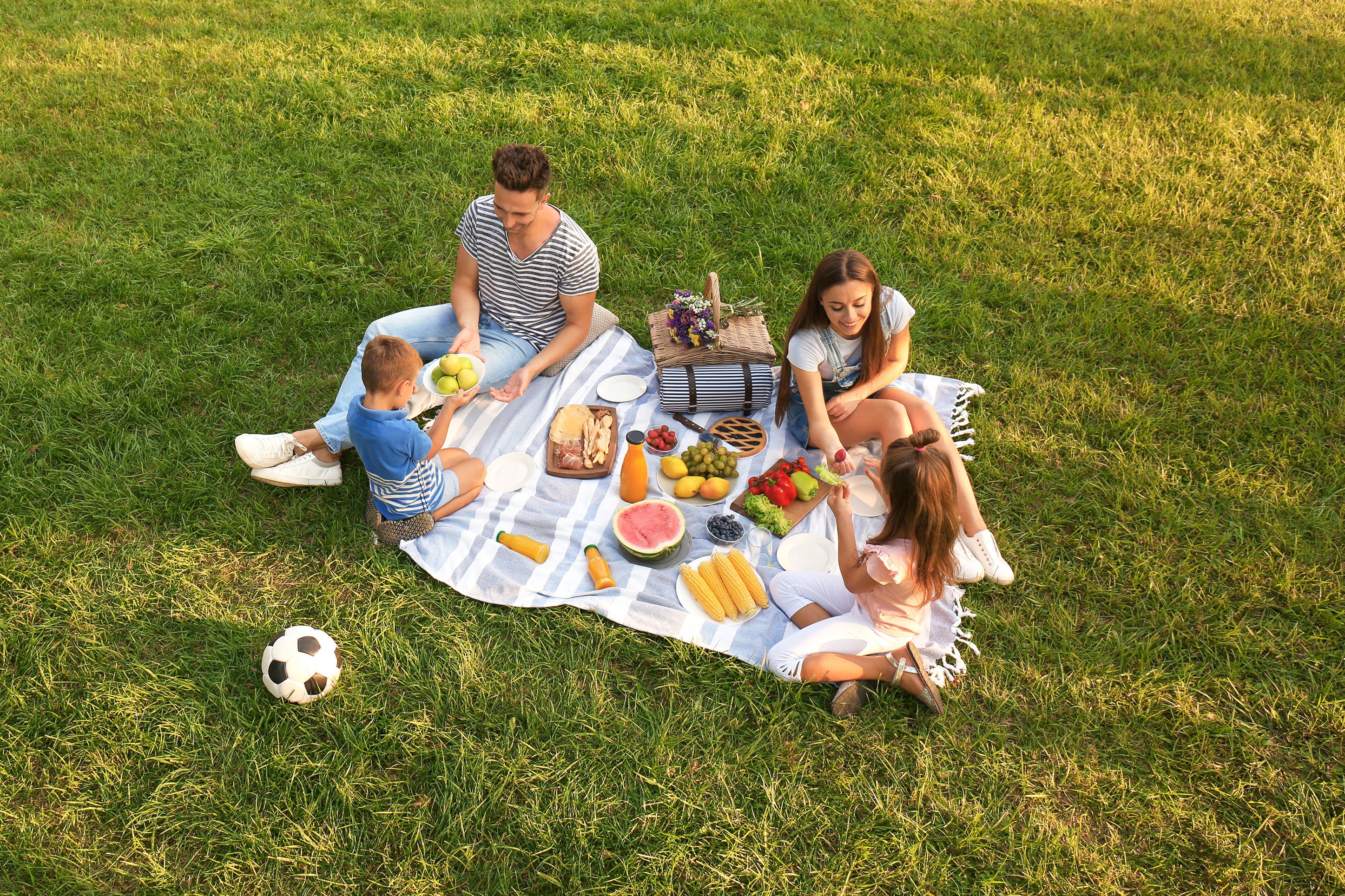 CVB_perfect-picnic-spots-blog2