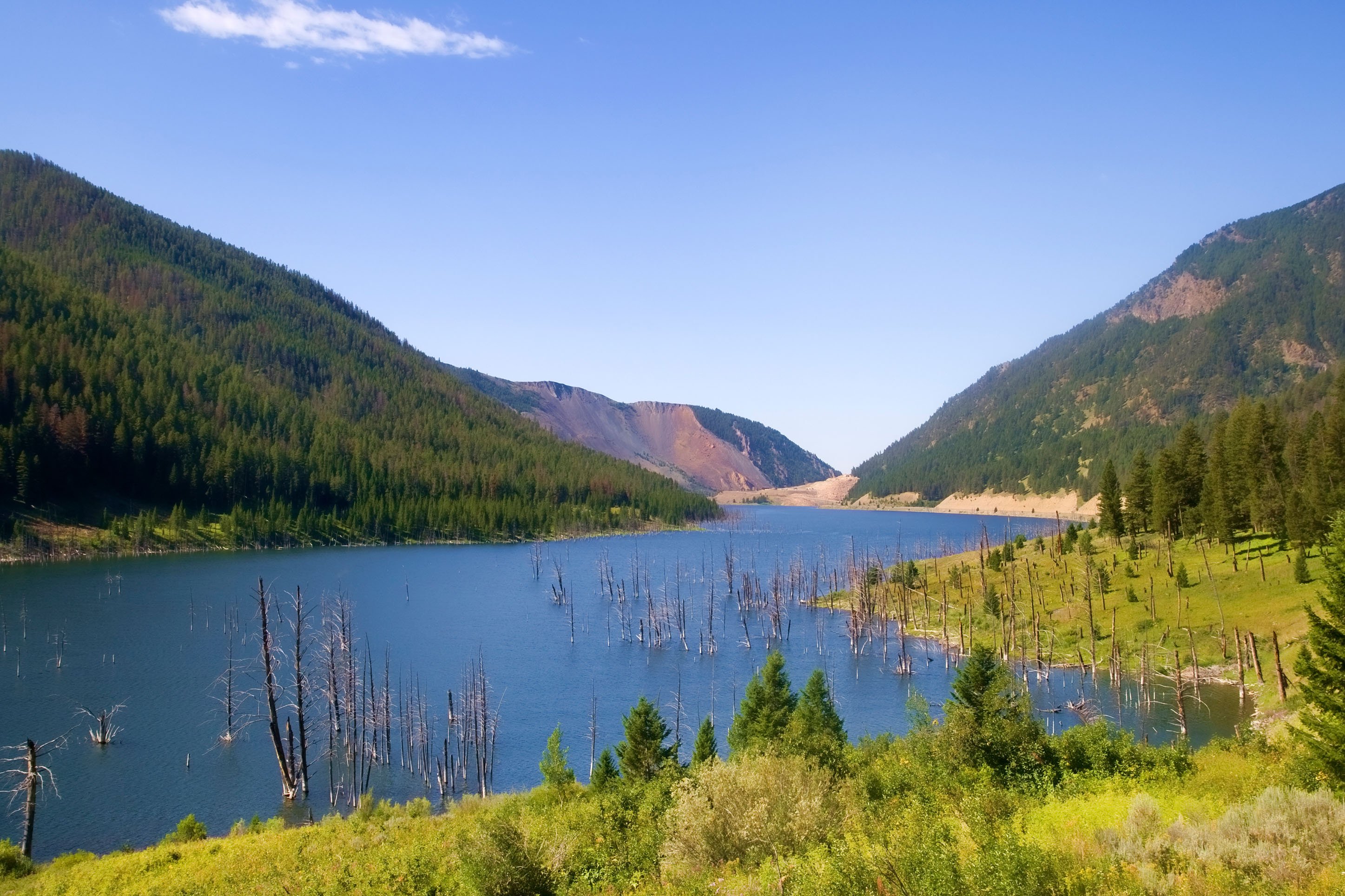 Image of Earthquake Lake