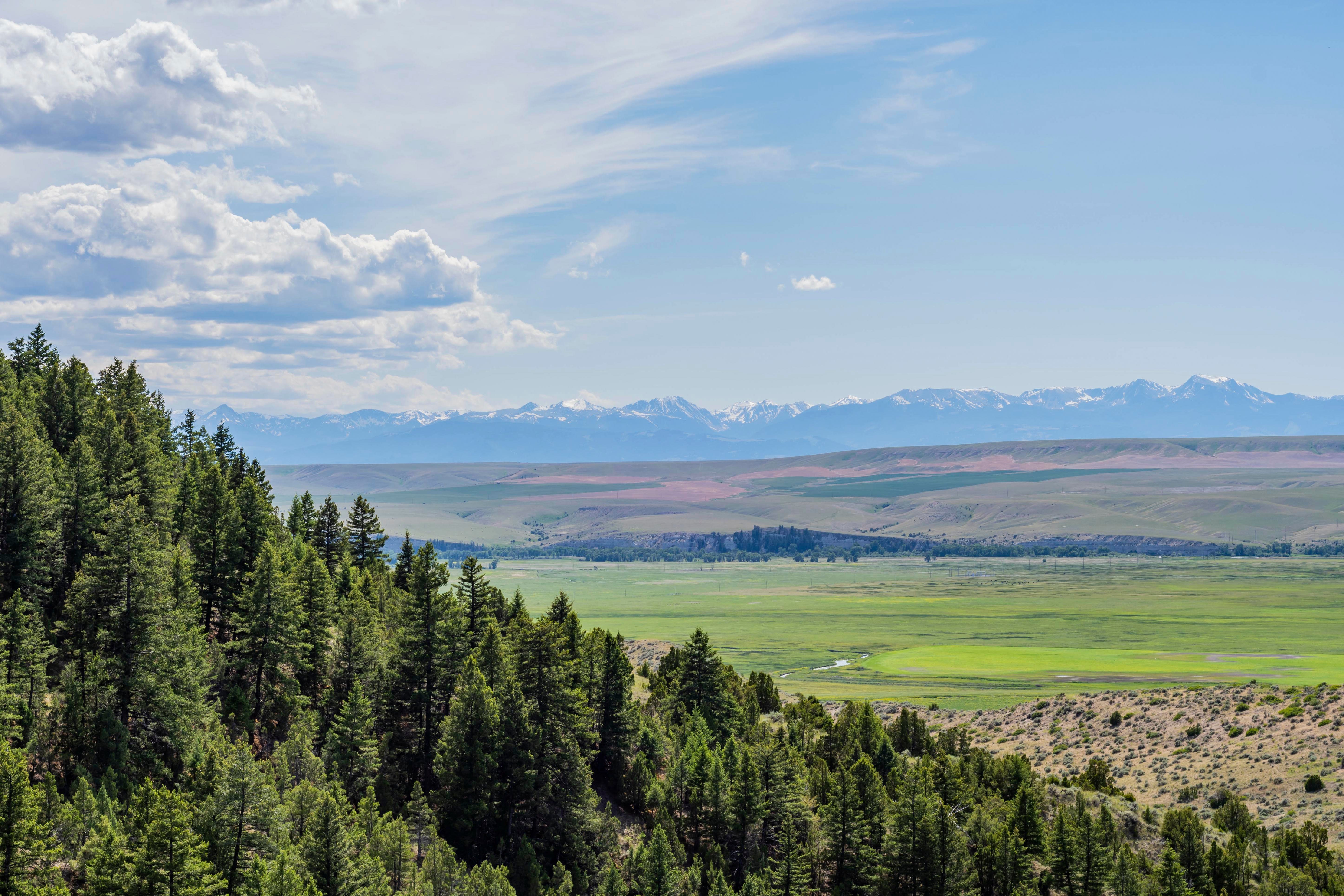 buffalo jump state park in Montana