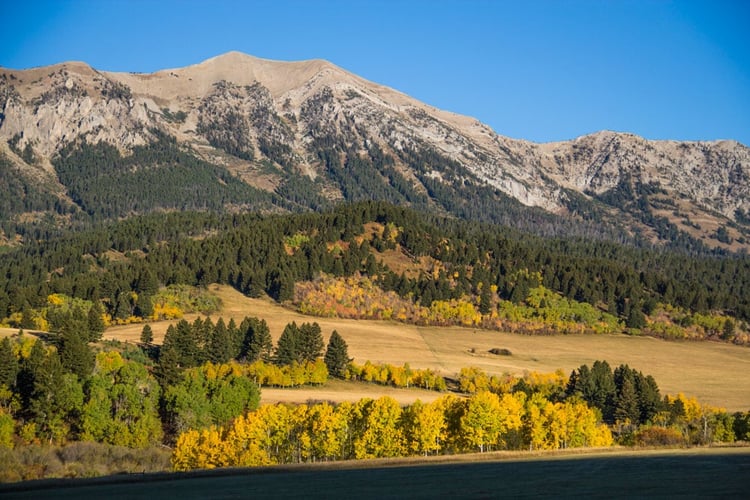 fall colors in Bozeman Montana