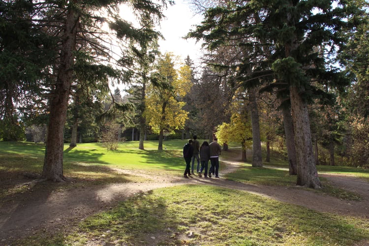 Local Parks in Bozeman, Montana