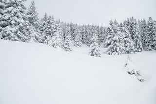 Bozeman winters