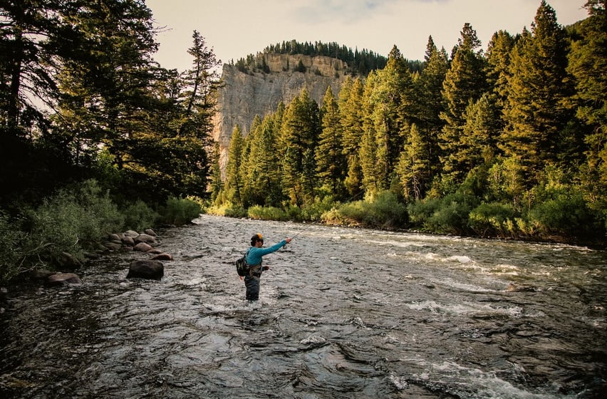 Fly fishing in Gallatin Canyon in Montana.