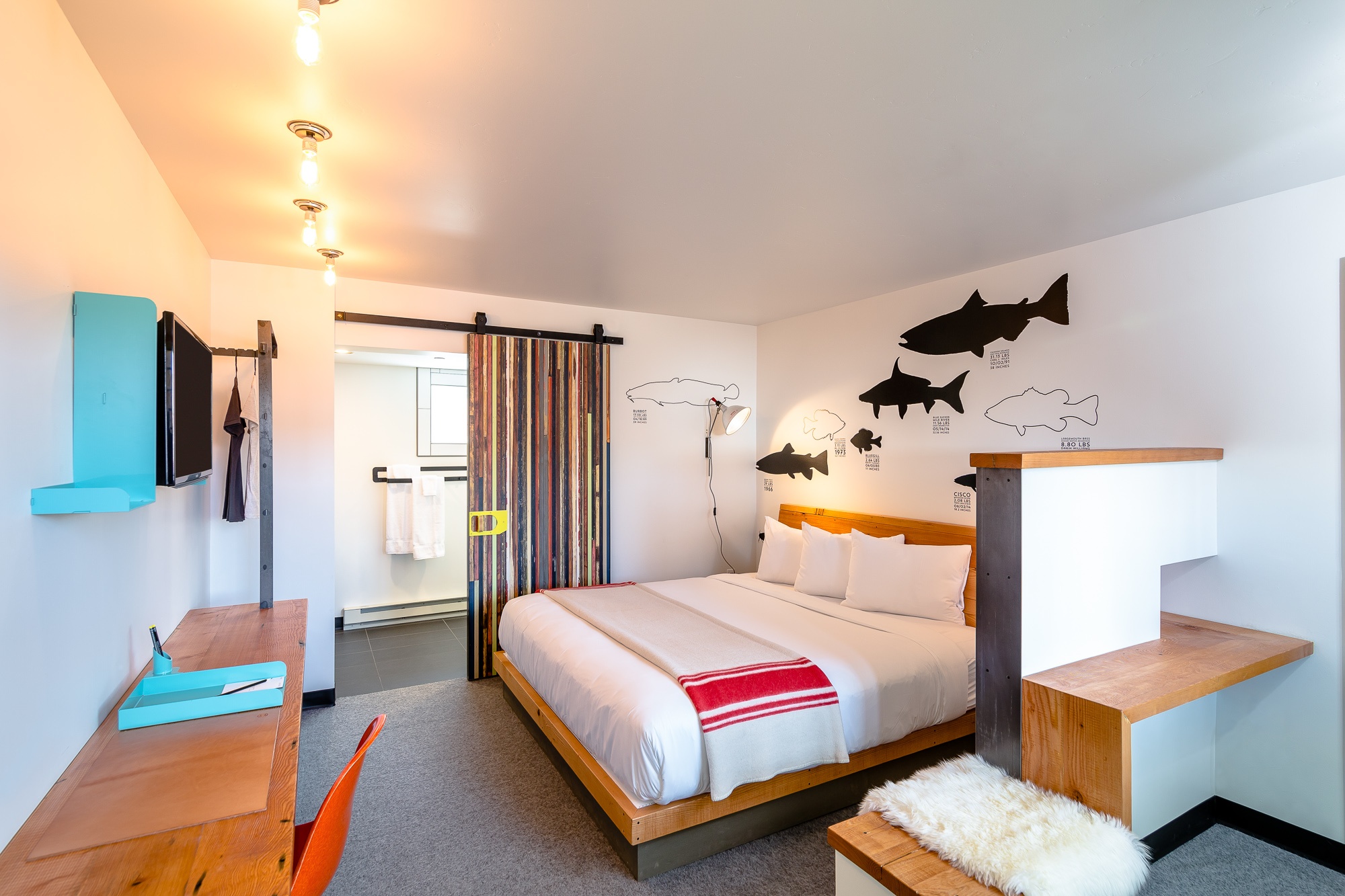 The LARK Rooms
