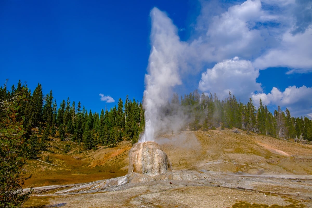 Lone Star Geyser erupting in Yellowstone National Park