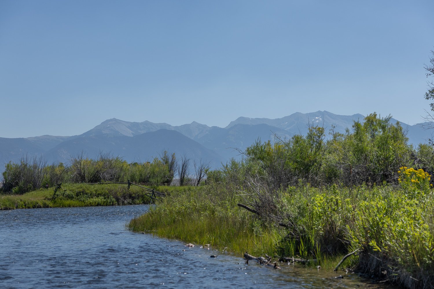 Madison River in Ennis, Montana