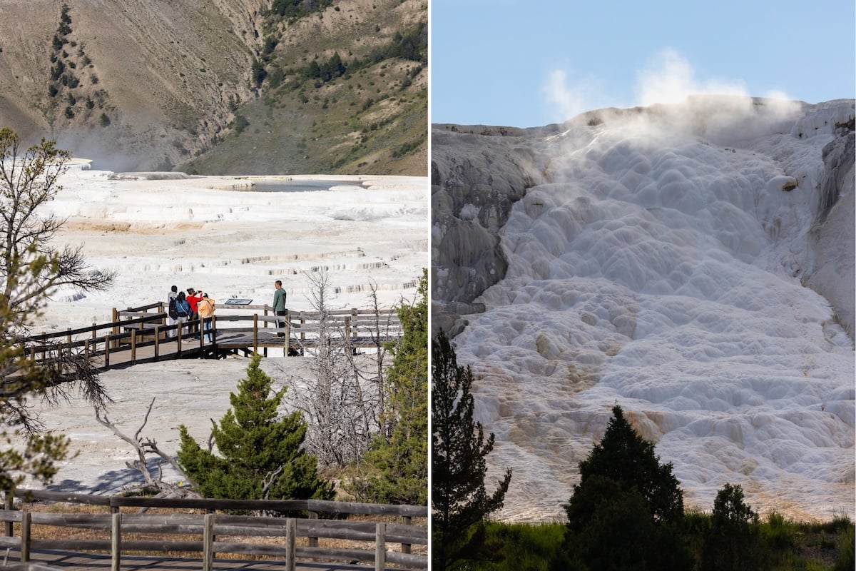 Left image: People walking on the boardwalk at Mammoth Hot Springs. Right image: Close up of Mammoth Hot Springs.