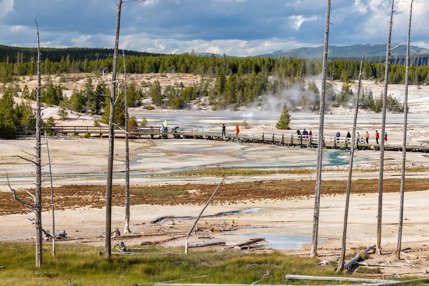 People walking on boardwalks around thermal features in Norris Geyser Basin.