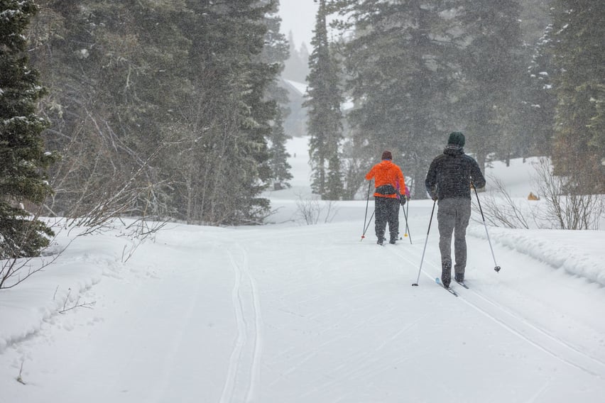 Two people cross country skiing at Crosscut.