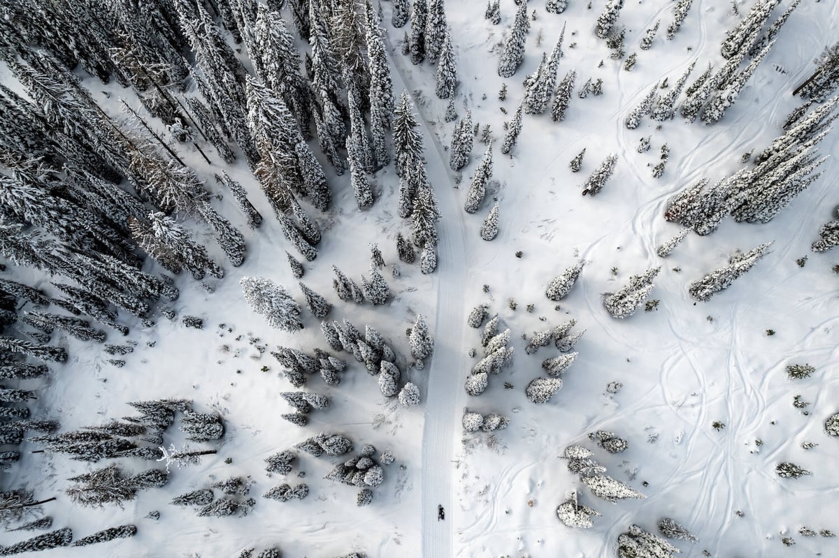 Snowmobiling in Bozeman, Montana in a forest.