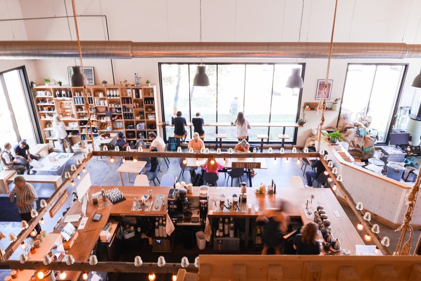 Treeline Coffee interior.