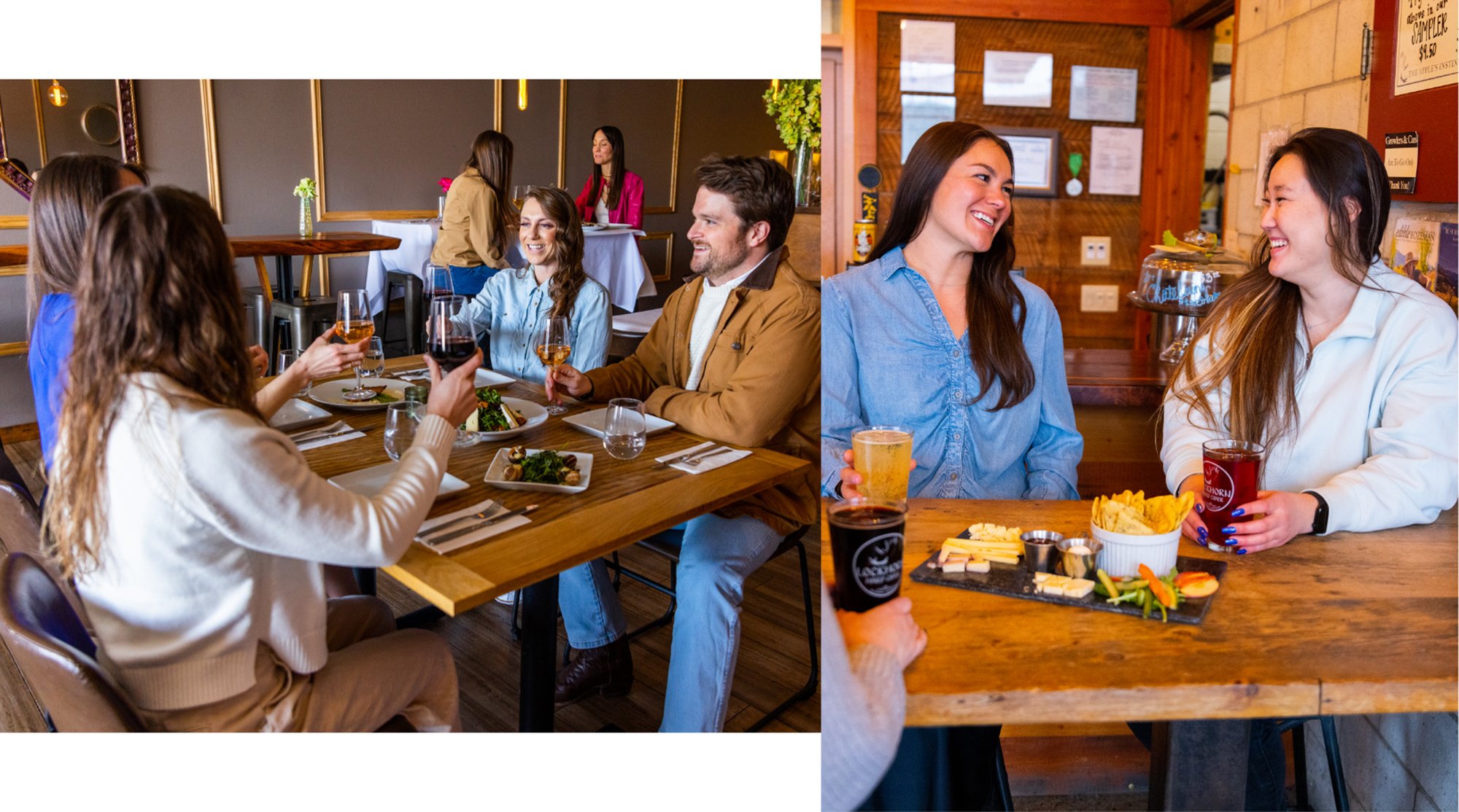 VBZN_Fall-LP_Collage_Sect-01