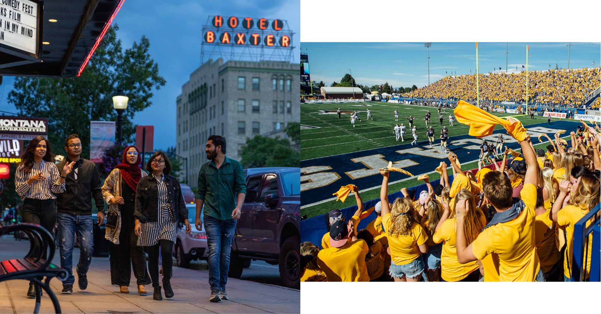 VBZN_Fall-LP_Collage_Sect-02