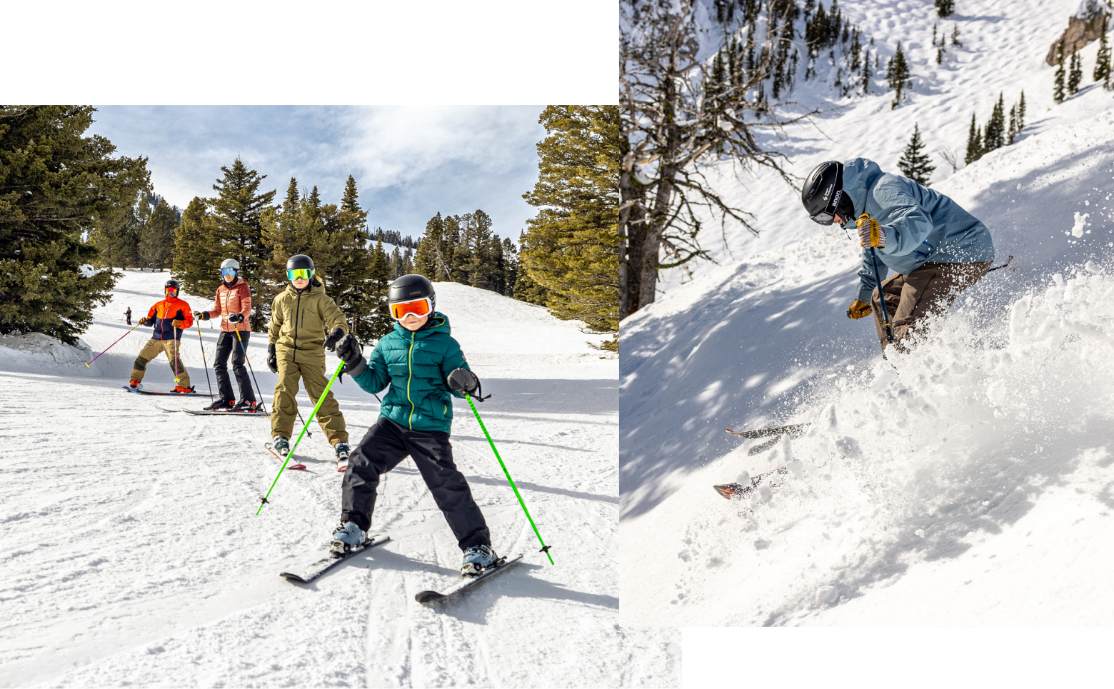 VBZN_Winter_Collage_Sect-01