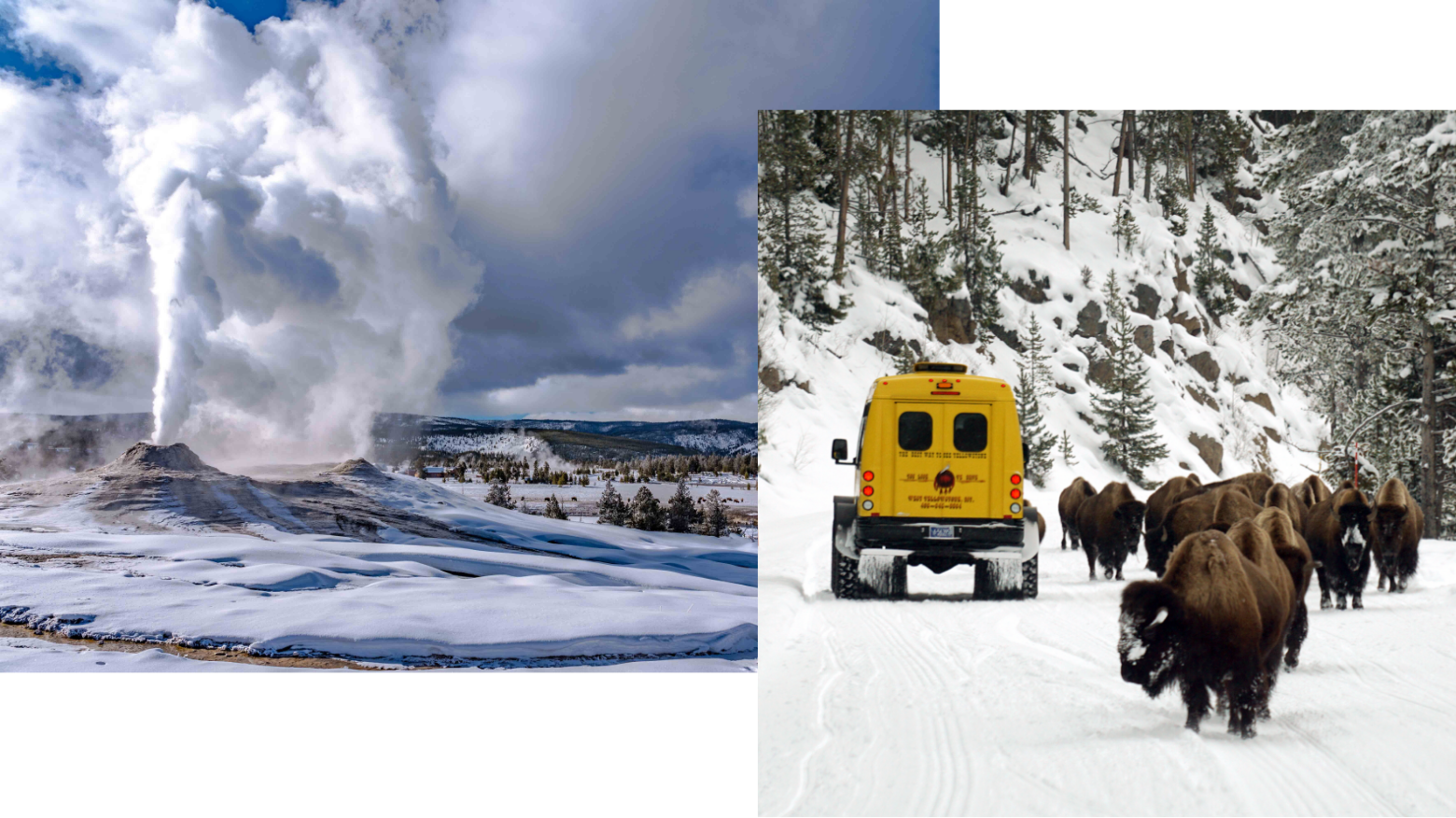 VBZN_Winter_Collage_Sect-04