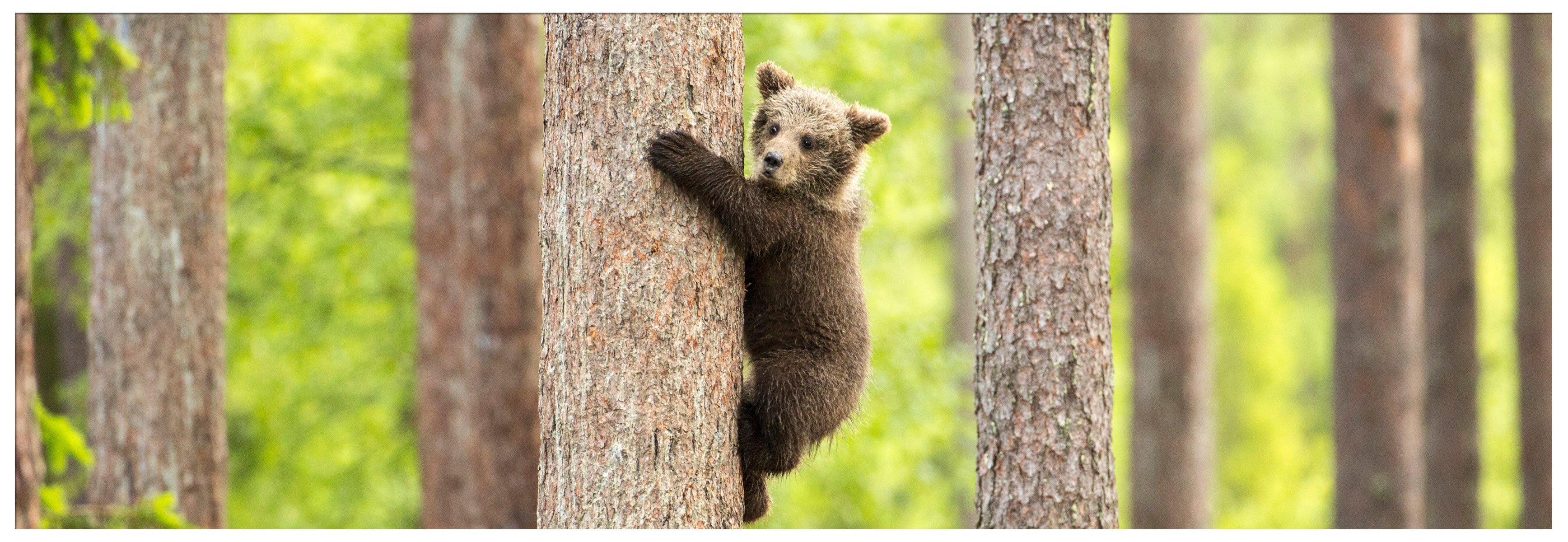 iStock-692200072_c