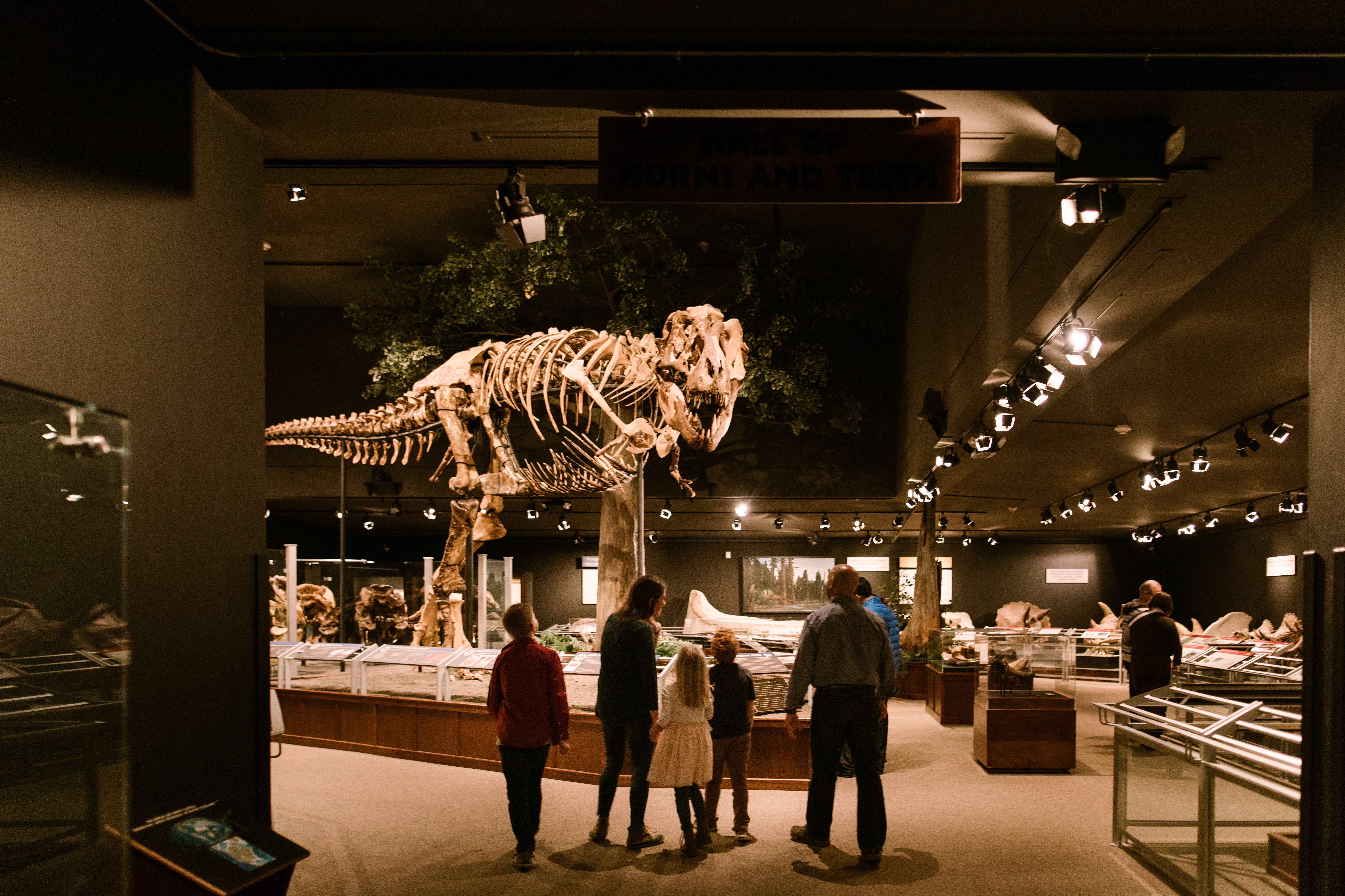 Inside the Museum of the Rockies in Bozeman Montana