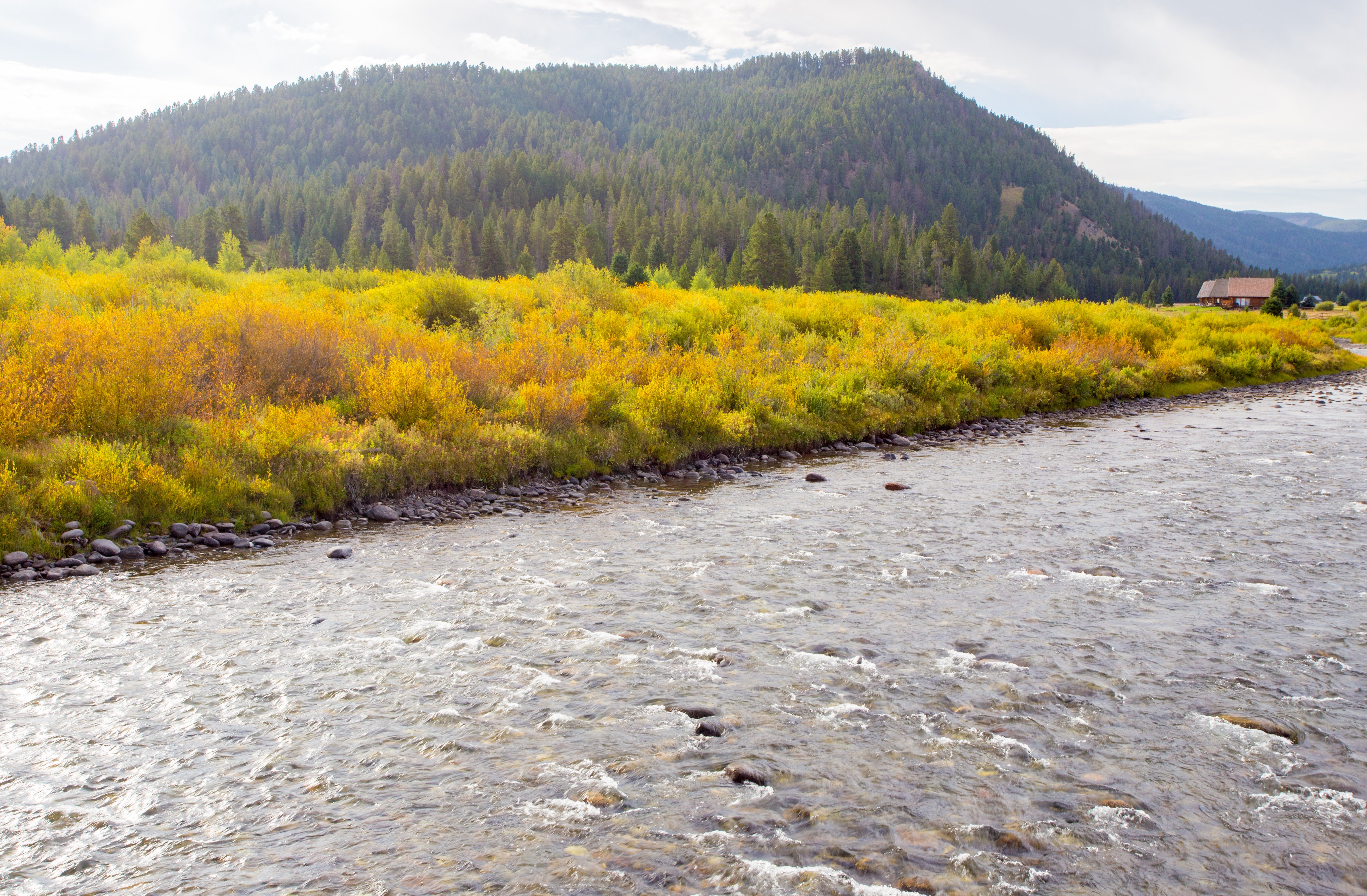 fall colors along the Gallatin River in Bozeman