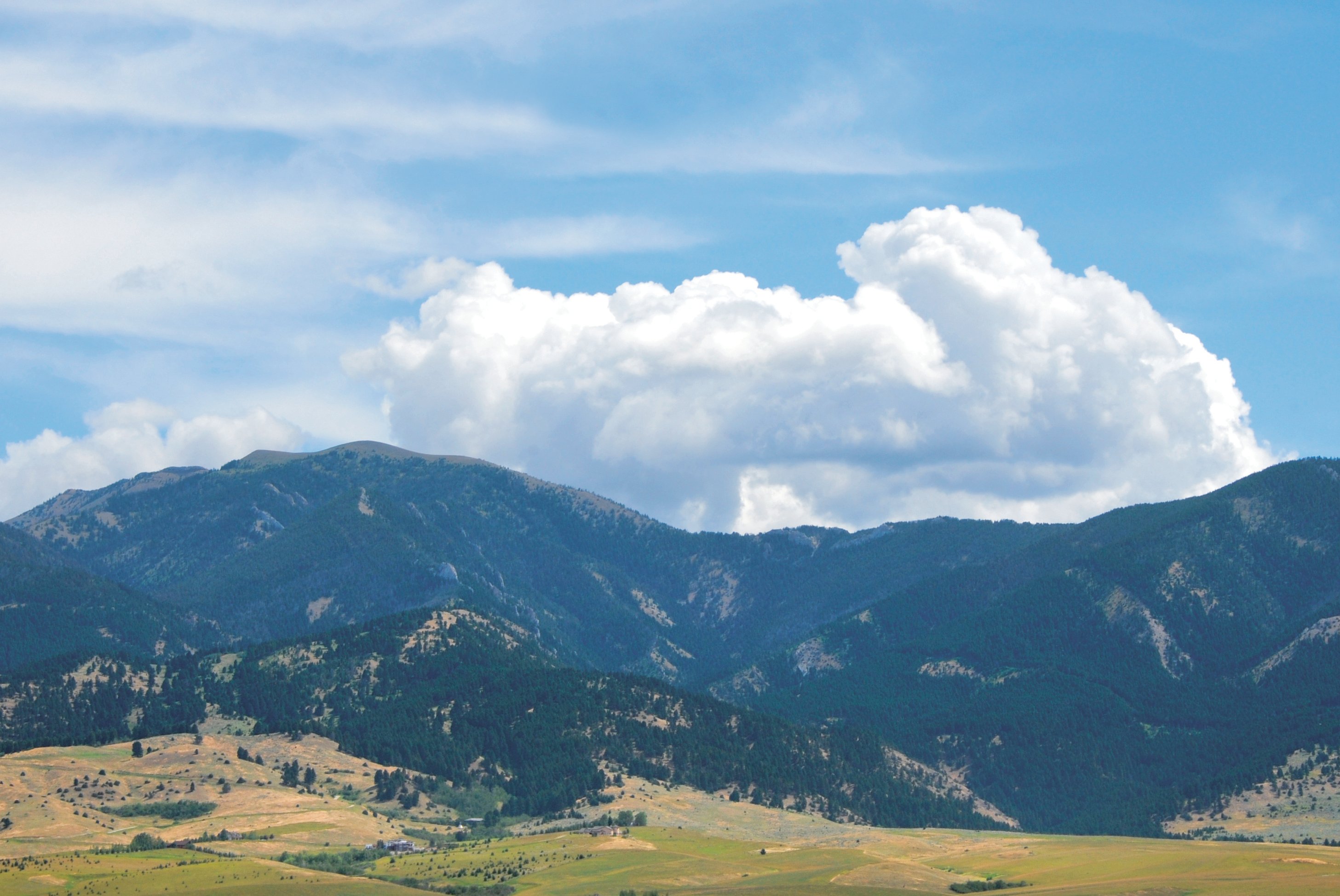 bridger range in bozeman