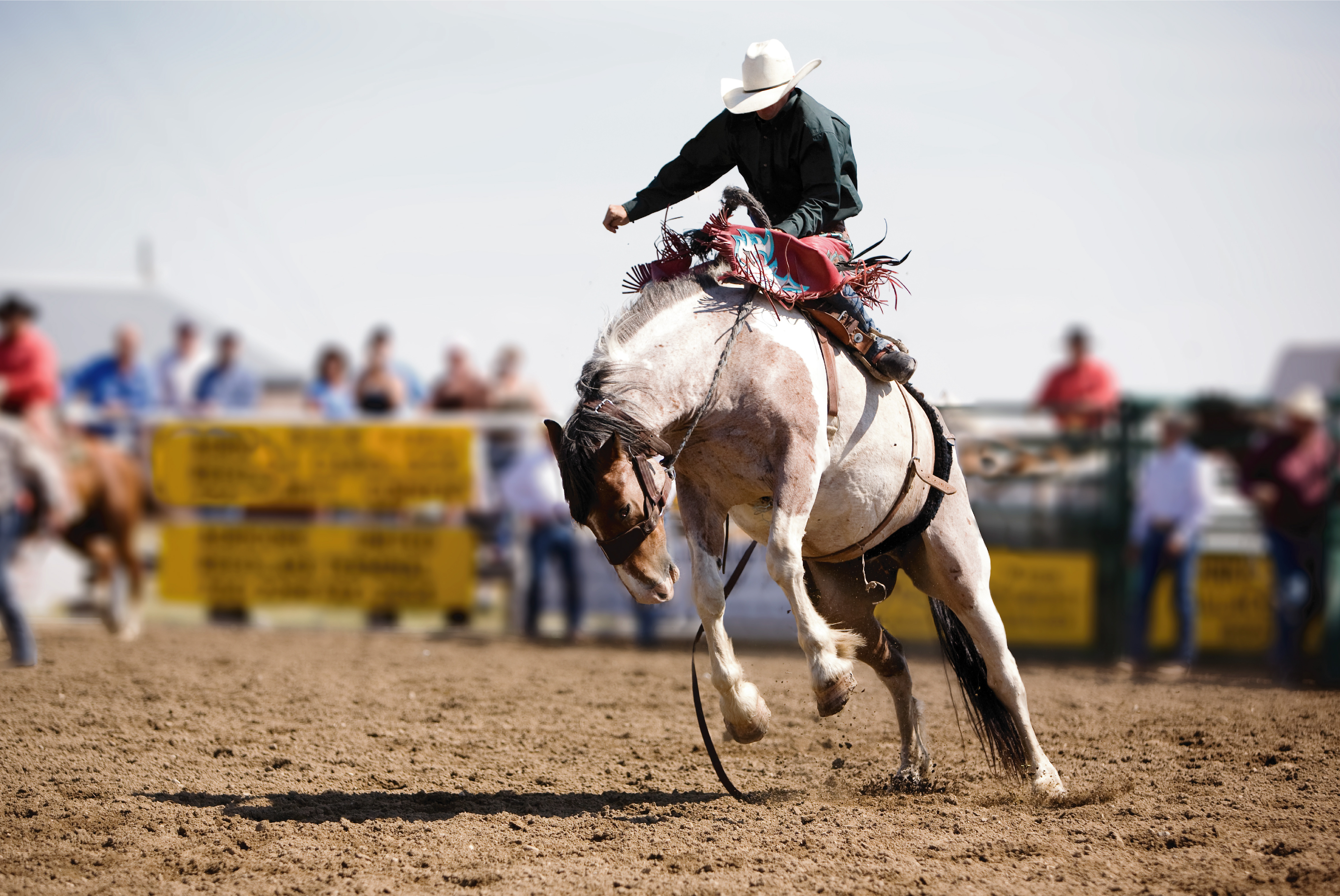 summer rodeo in montana