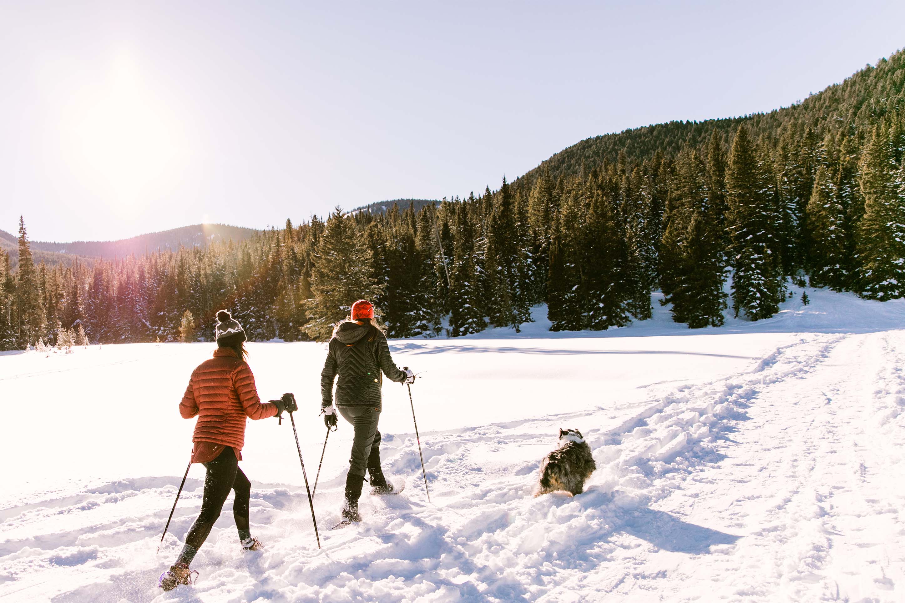 Two people snowshoeing with a dog. 