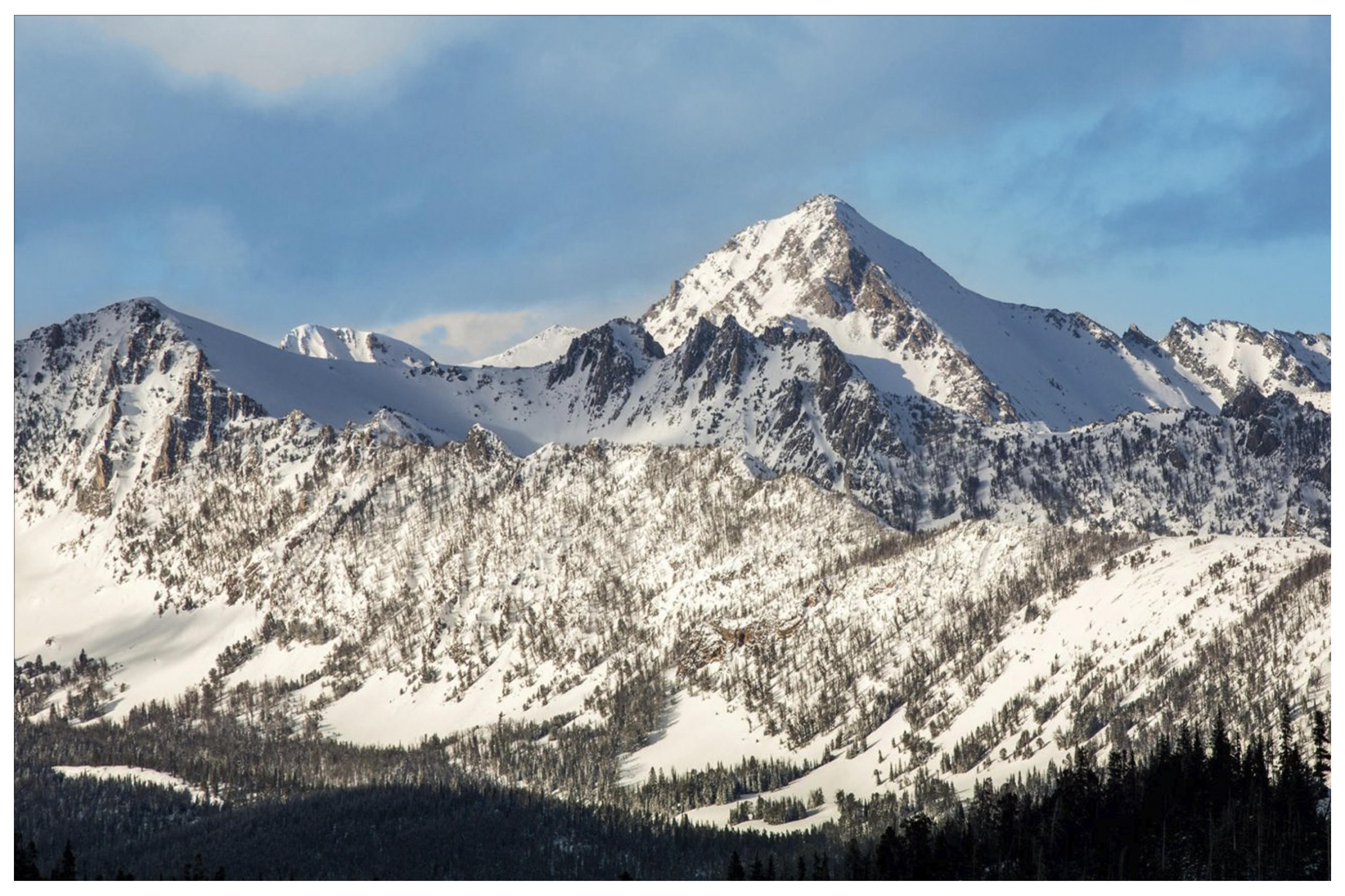 Photo of a snowy Gallatin Range in Montana