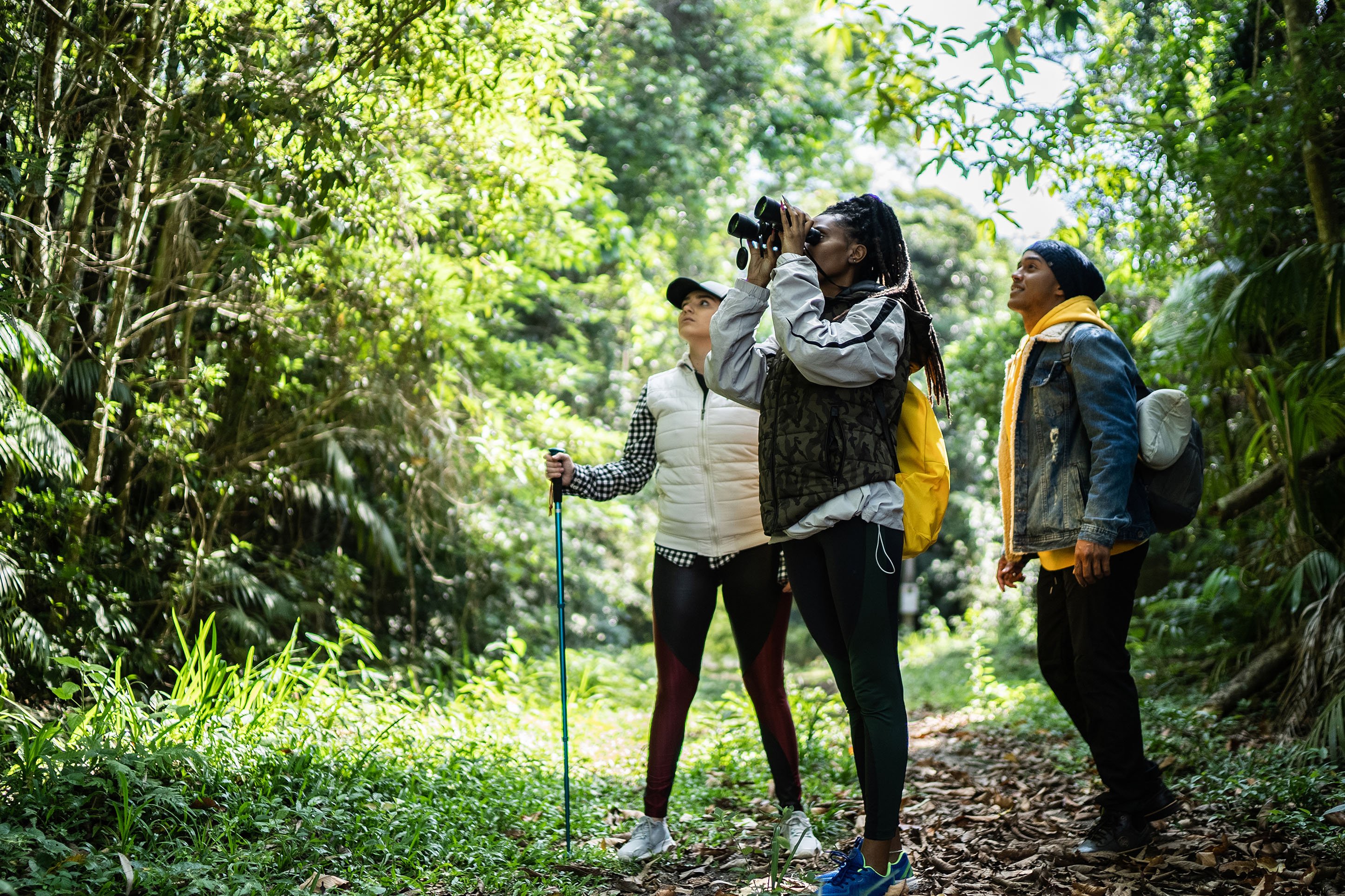 photo of friends gathered in the woods, bird watching