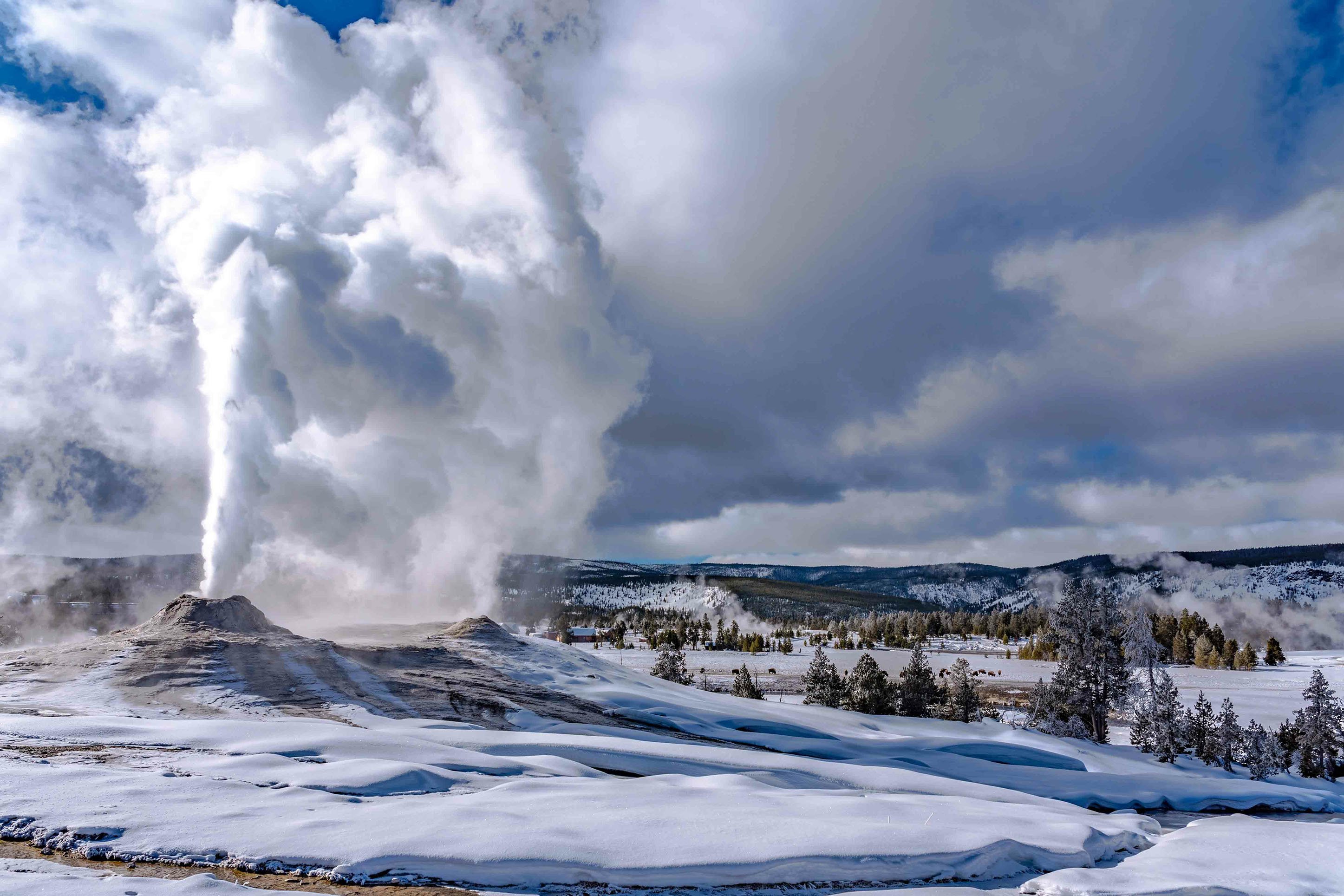 Geyser erupting in Yellowstone National Park during the winter. 