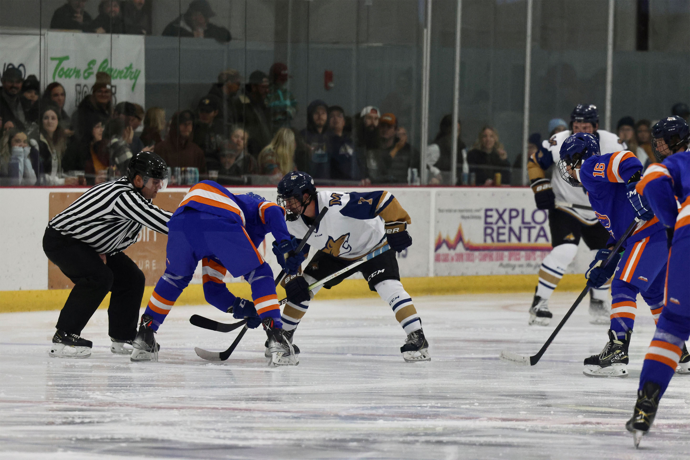 Montana State University Hockey Team