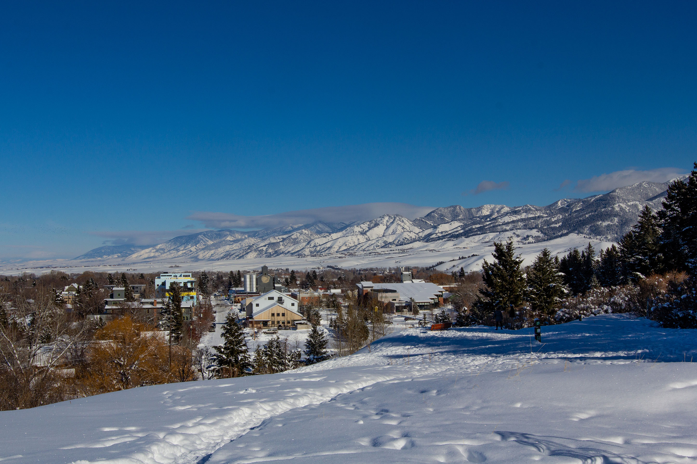 View of Bozeman in winter from Peet's Hill