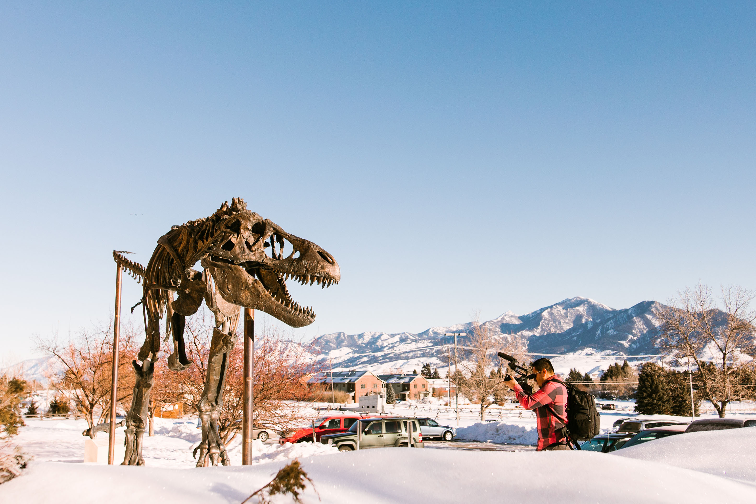 Museum of the Rockies, Bozeman, Montana