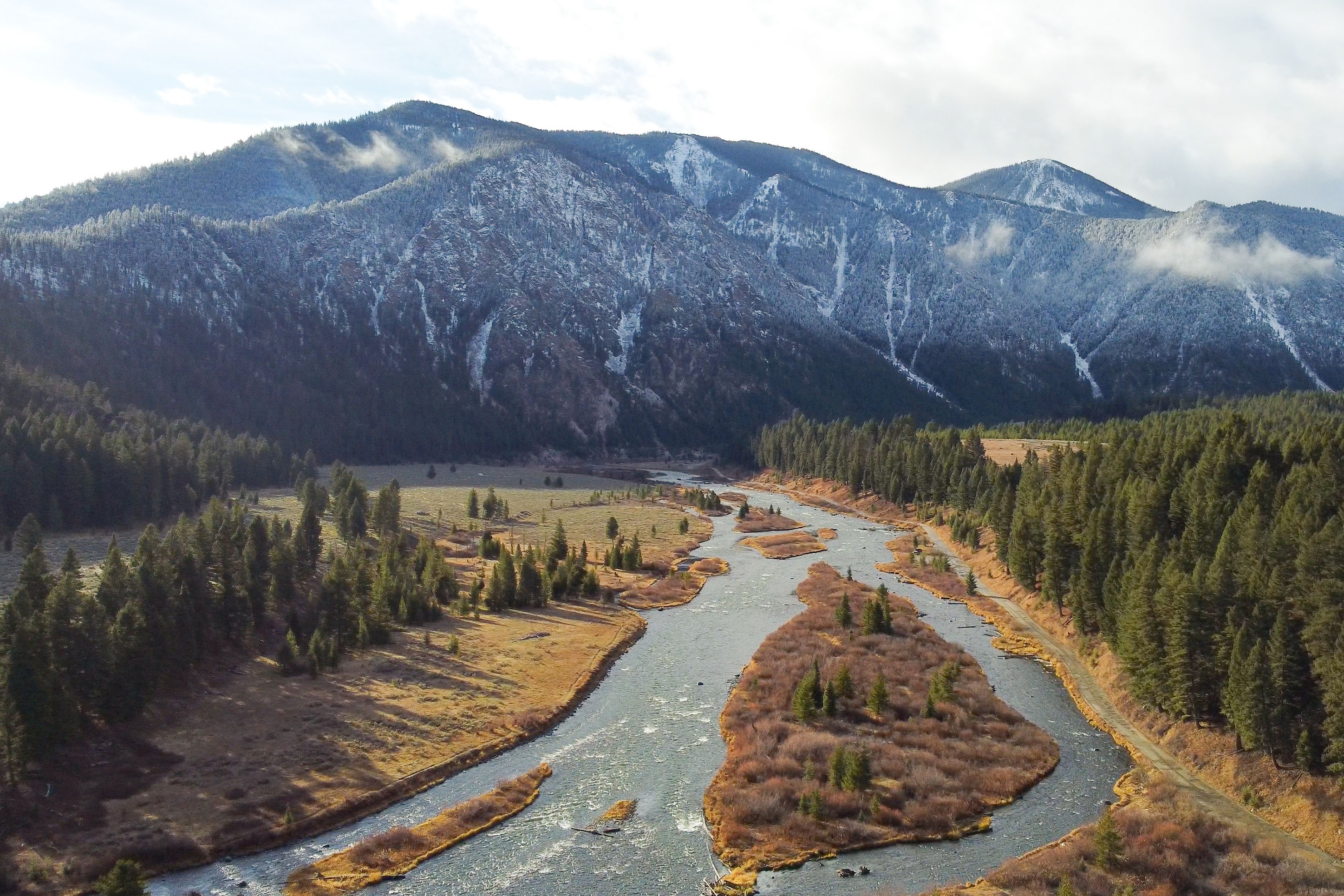 View of Earthquake Lake