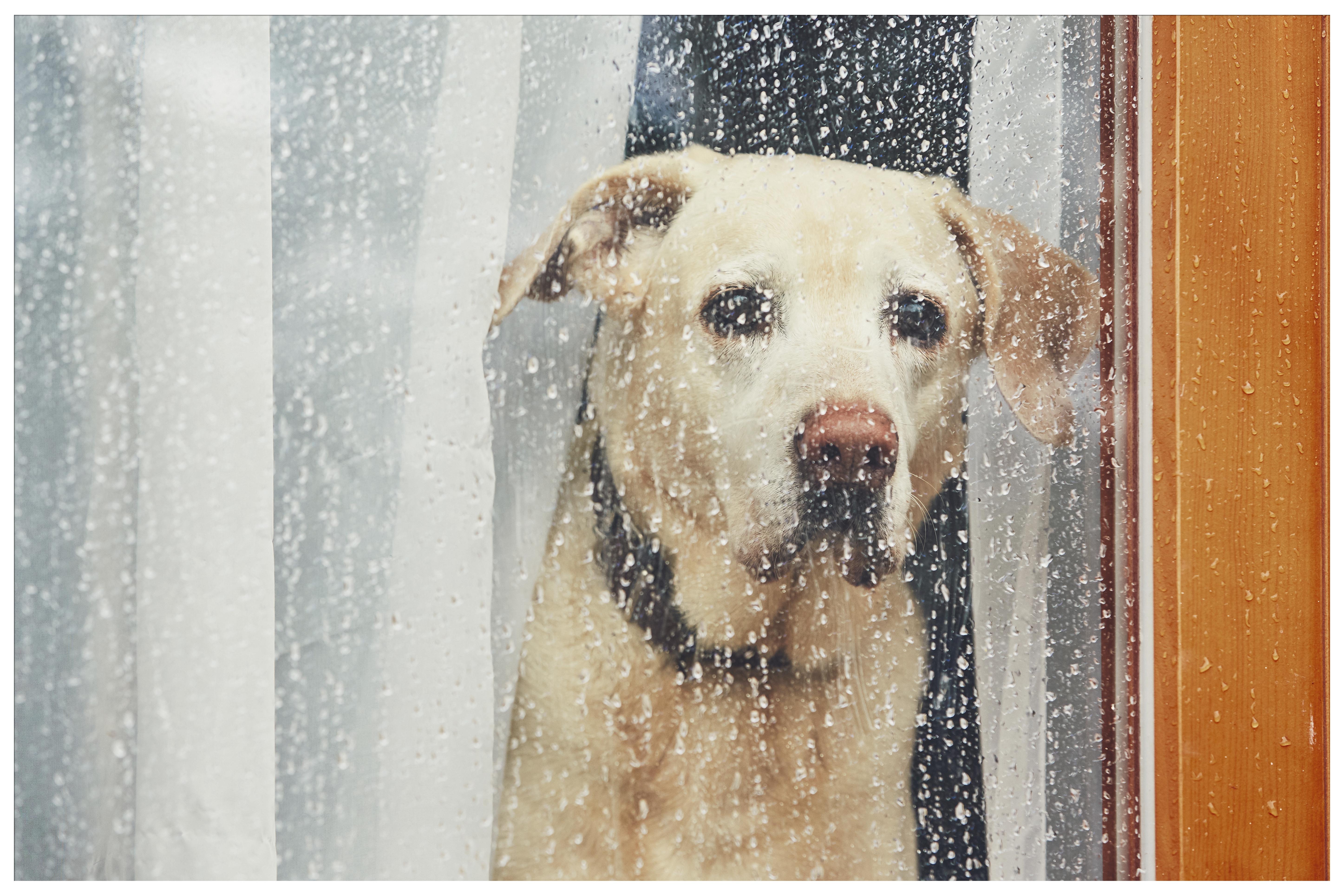 raining-in-bozeman.jpg