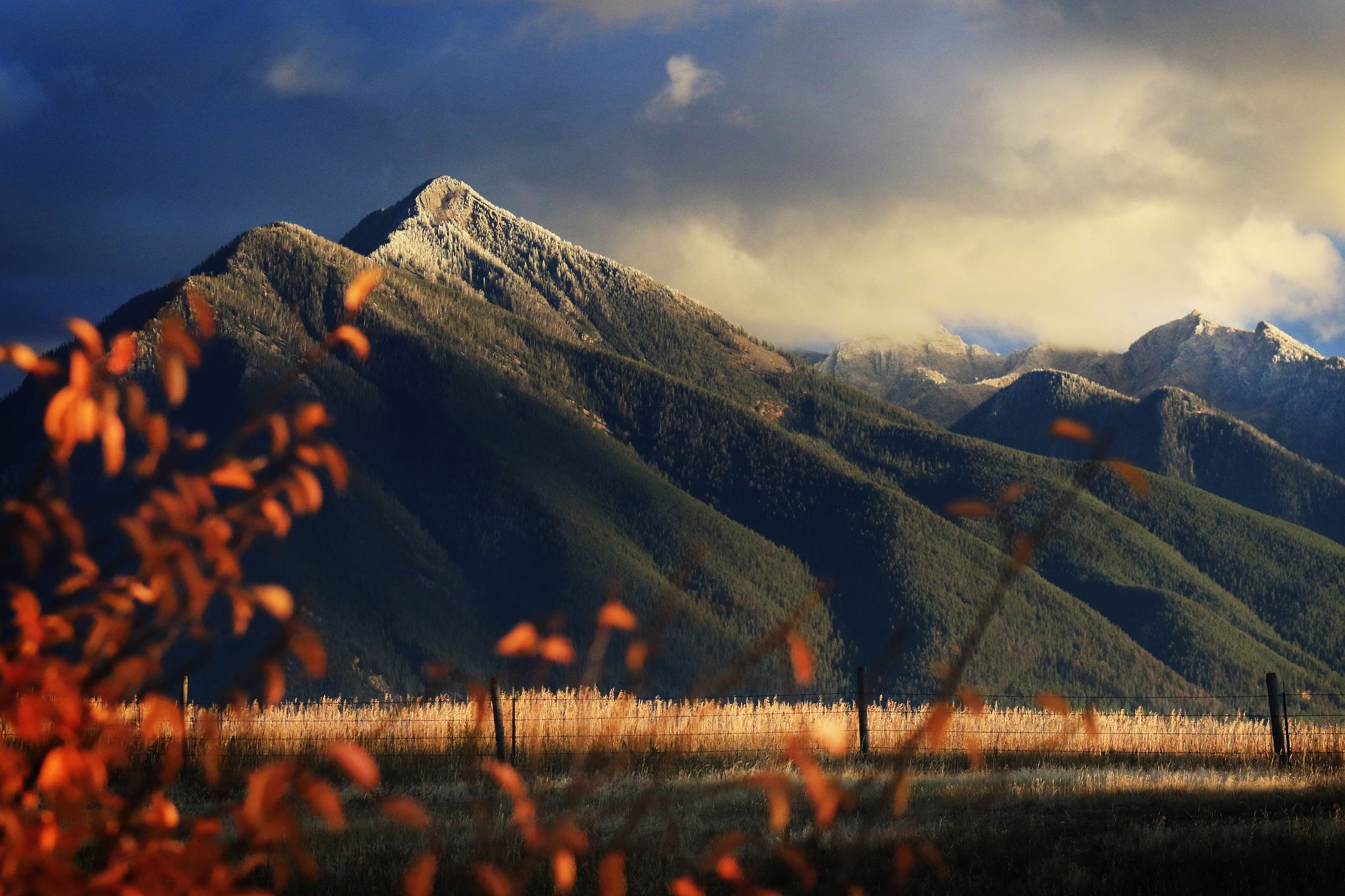 Paradise Valley, Montana