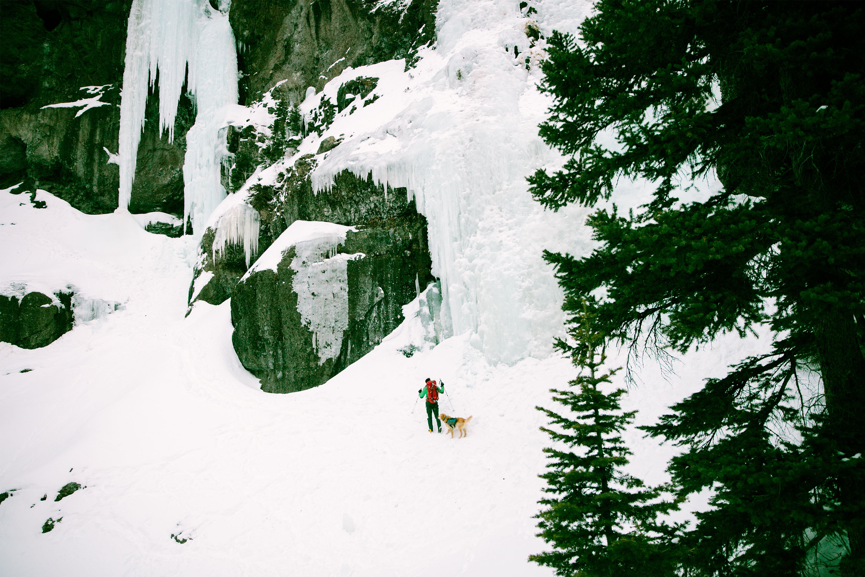 photo of a hiker and golden retriever near an iced-over waterfall