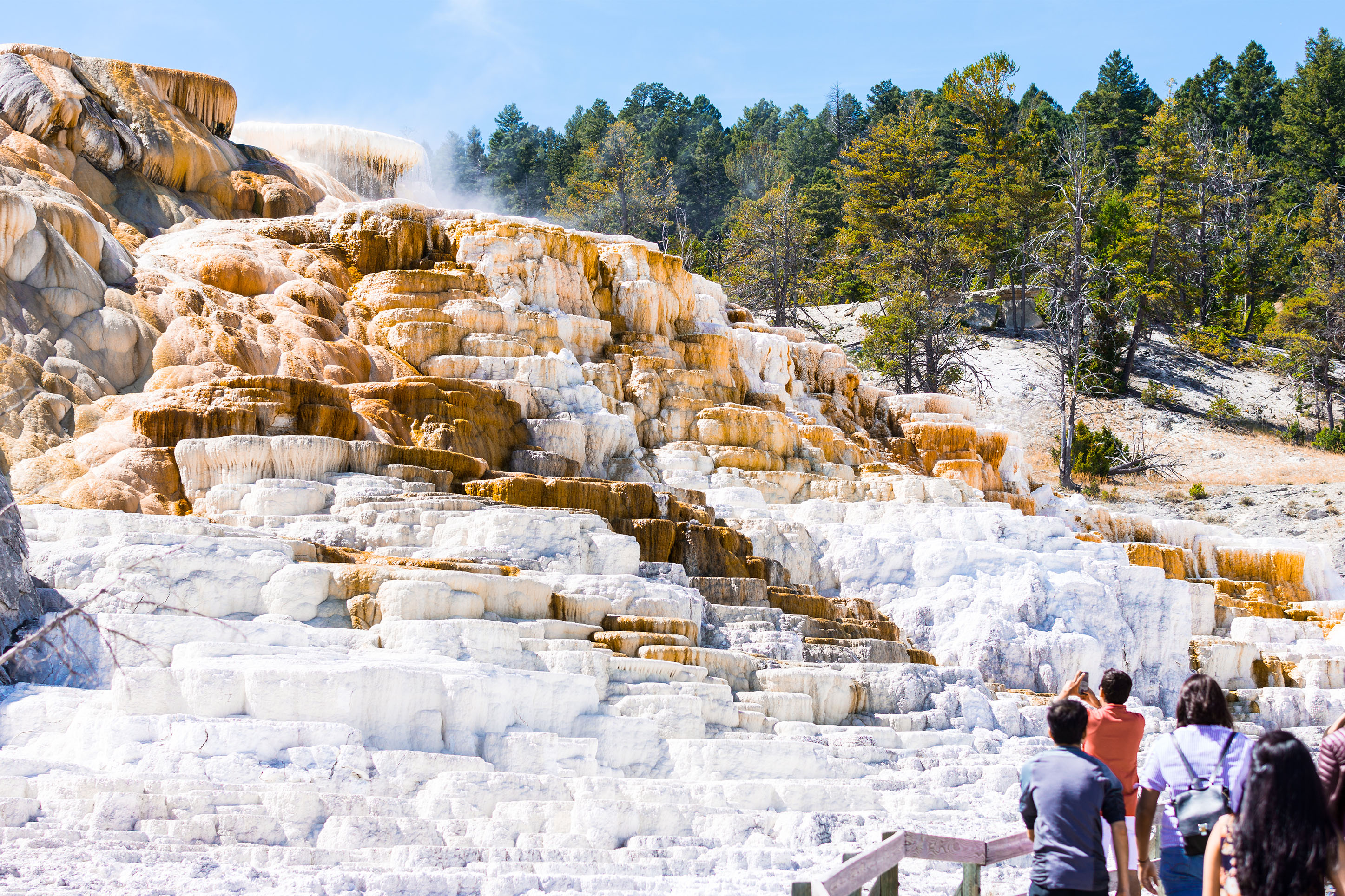 Photo of tourists at Mammoth hot springs in Yellowstone National Park 