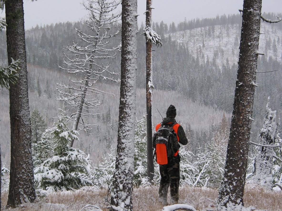 elk-hunting-in-montana.jpg