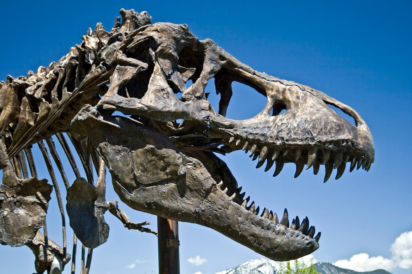 museums-in-bozeman.jpg
