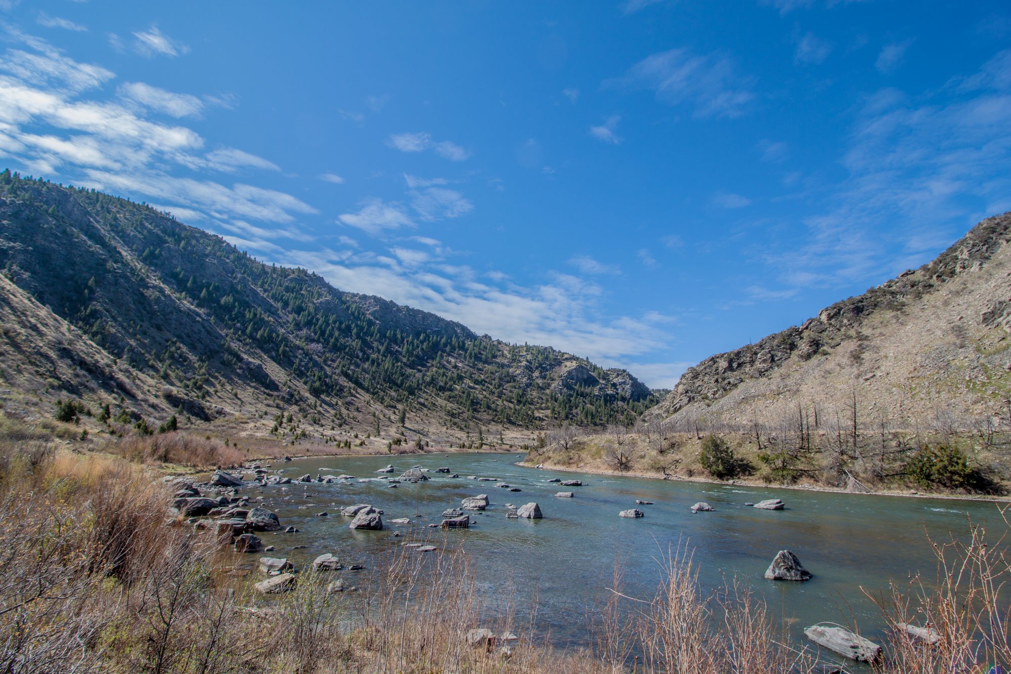 Beartrap Canyon in the spring
